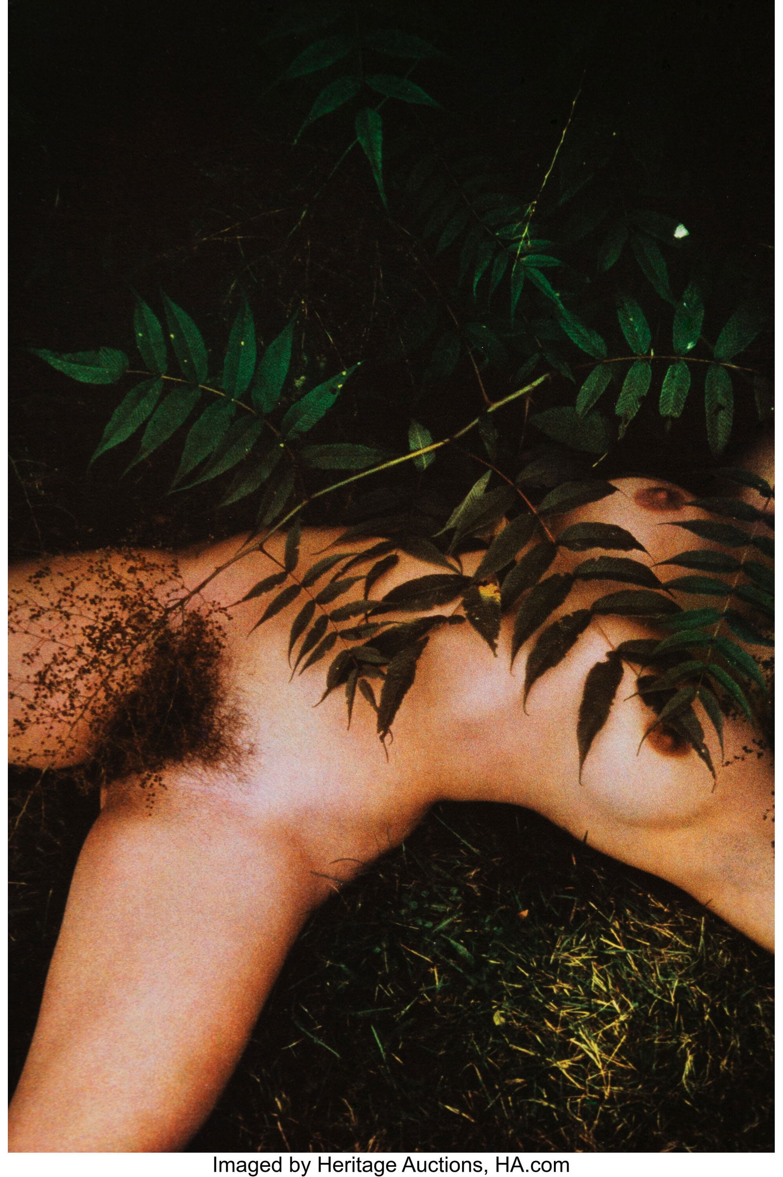 Lucien Clergue (French, 1934-2014) Nu des Bois,: Lucien Clergue (French, 1934-2014) Nu des Bois, Maine, Rockport, 1979 Fresson print, printed 1984 12-1/2 x 8-1/2 inches (31.8 x 21.6