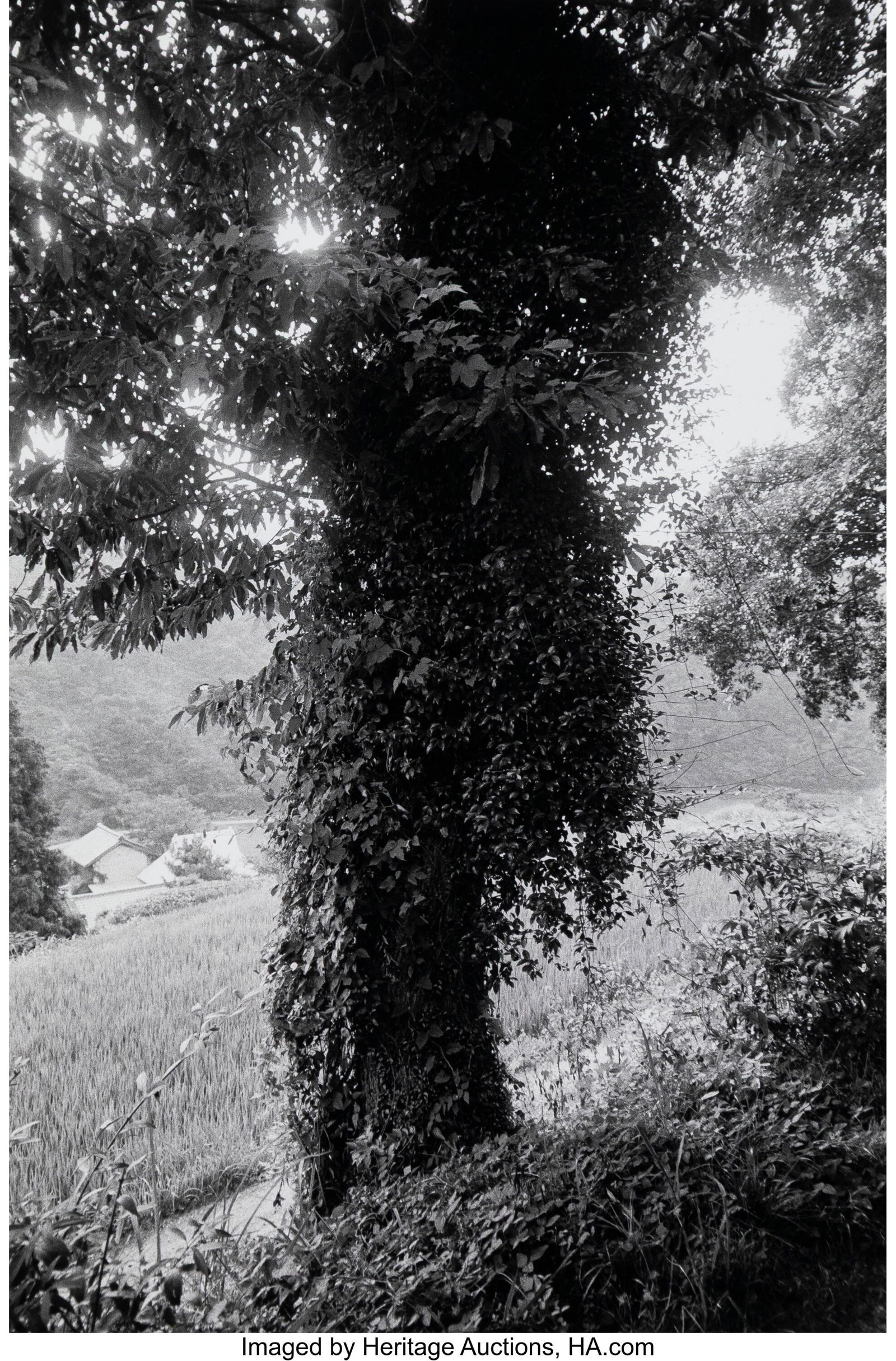 Kazuo Kitai (Japanese b. 1944) Kume Town, Okayam (1 of 3)