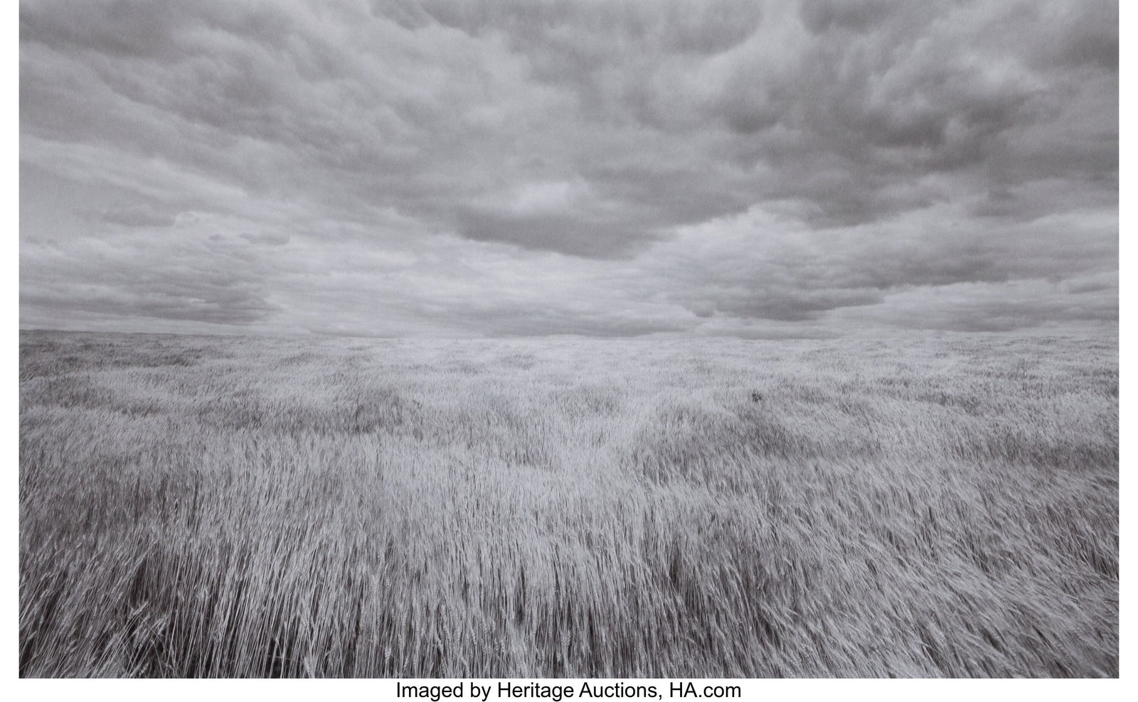 Lawrence McFarland (American, 1942-2023) Wheatfi (1 of 2)