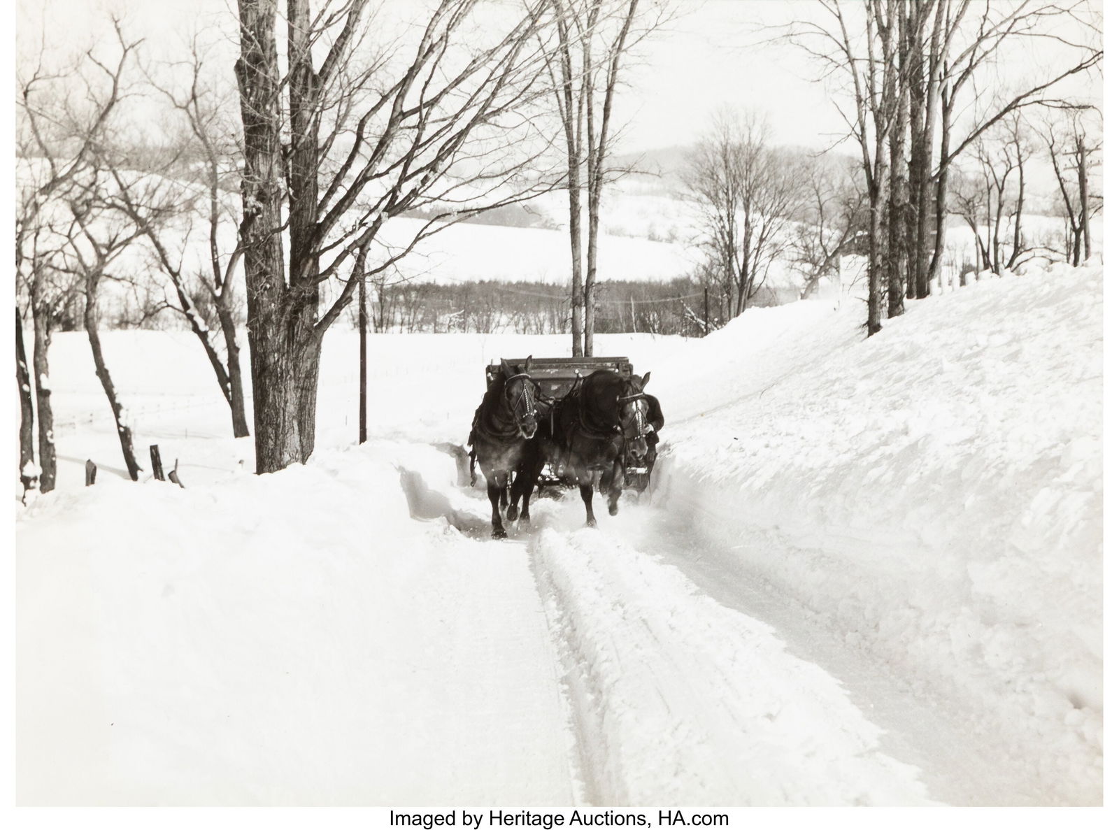 Marion Post Wolcott (American, 1910-1990) Horses (1 of 4)