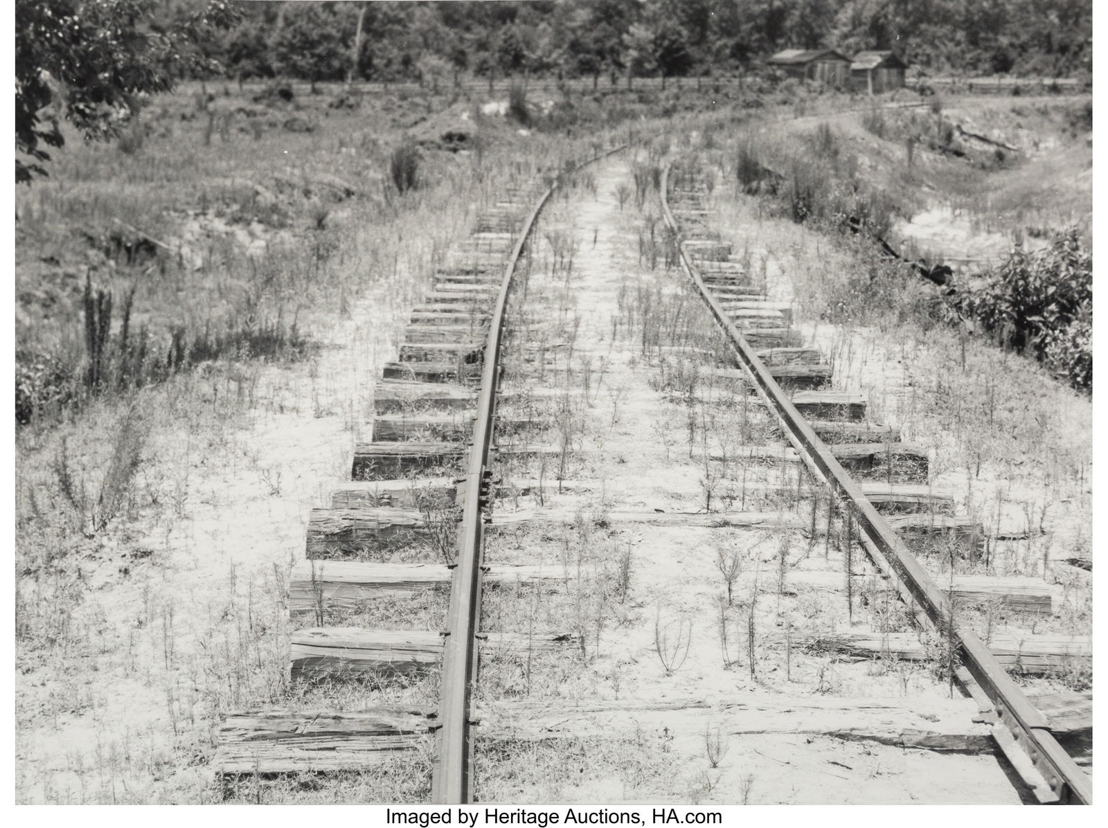 Dorothea Lange (American, 1895-1965) The Lumber (1 of 2)