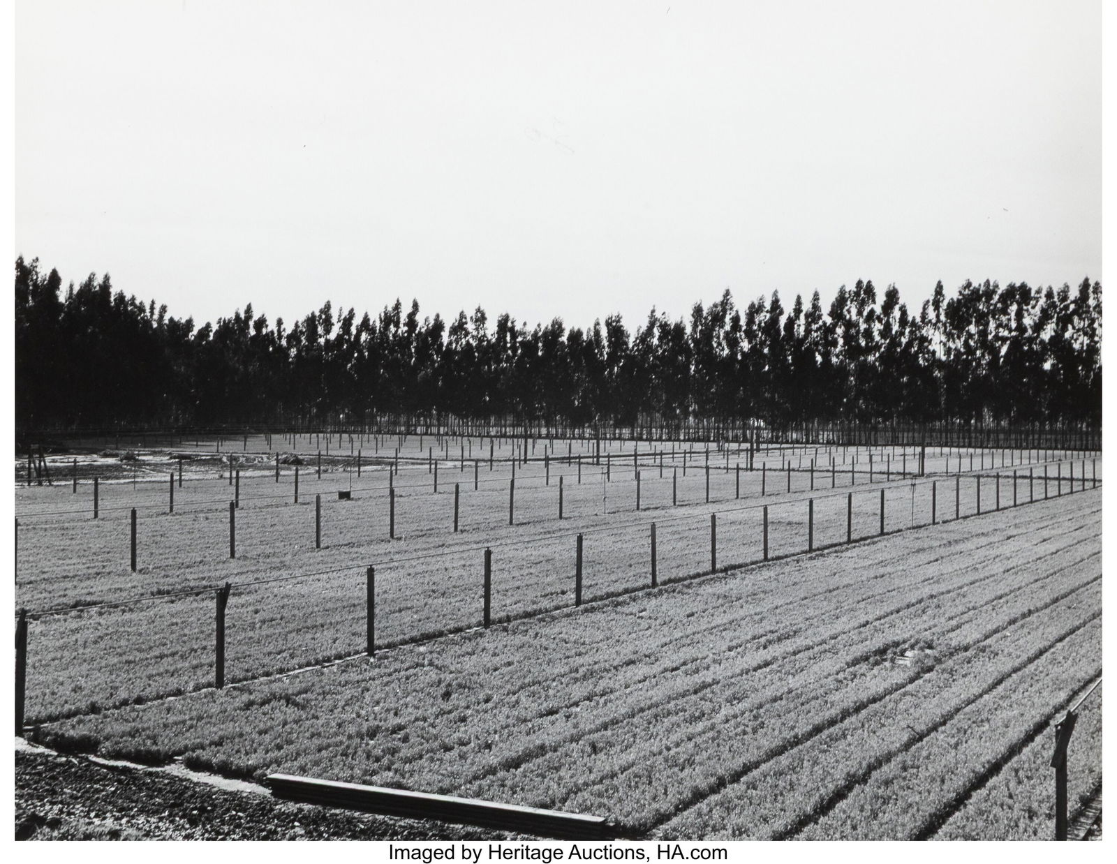 Russell Lee (American, 1903-1986) Group of 8 pho (1 of 10)