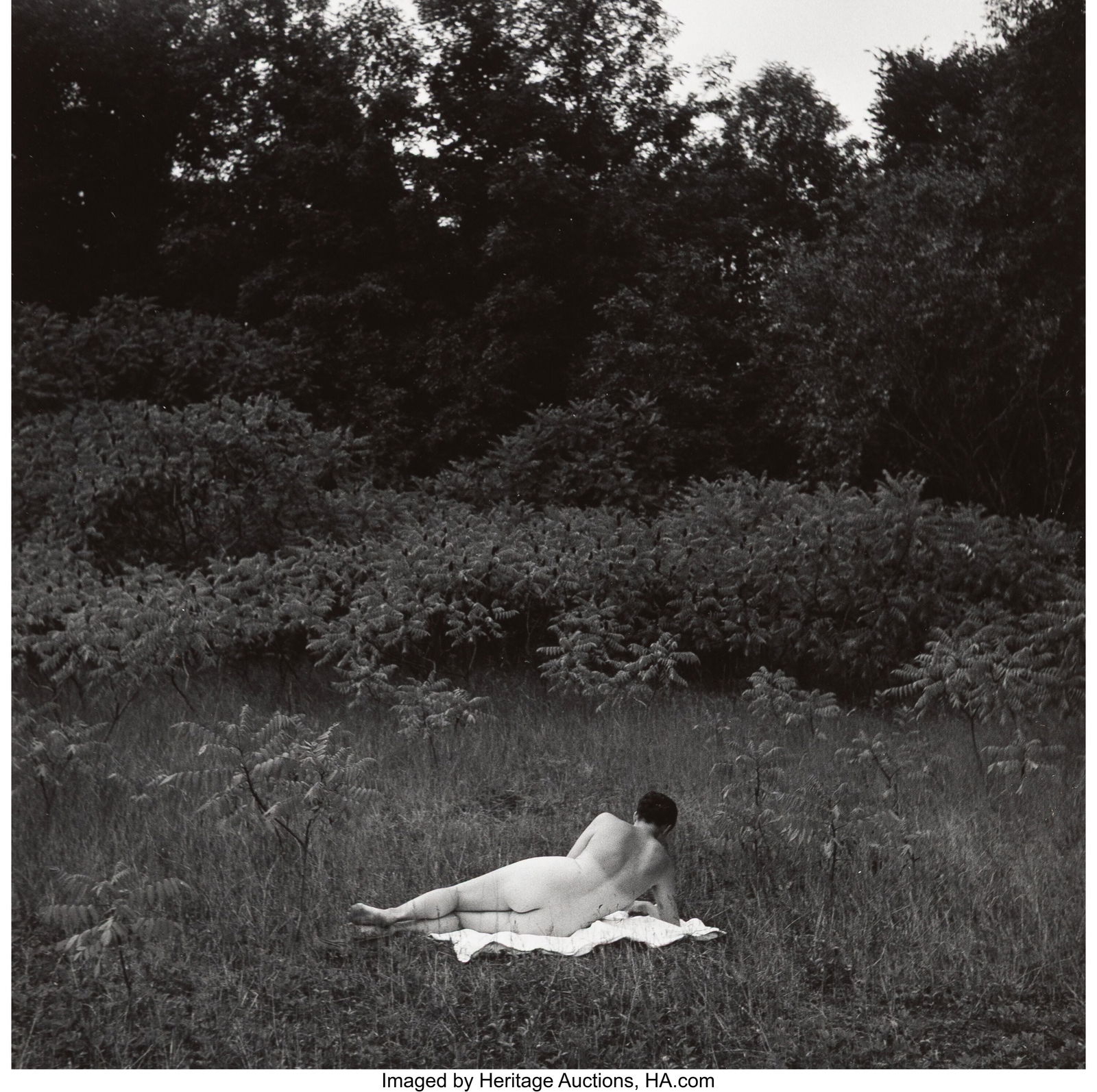 Harry Callahan (American, 1912-1999) Eleanor, 19: Harry Callahan (American, 1912-1999) Eleanor, 1954 Gelatin silver print 7 x 7 inches (17.8 x 17.8 cm) (image) 10 x 8 inches (sheet) Si