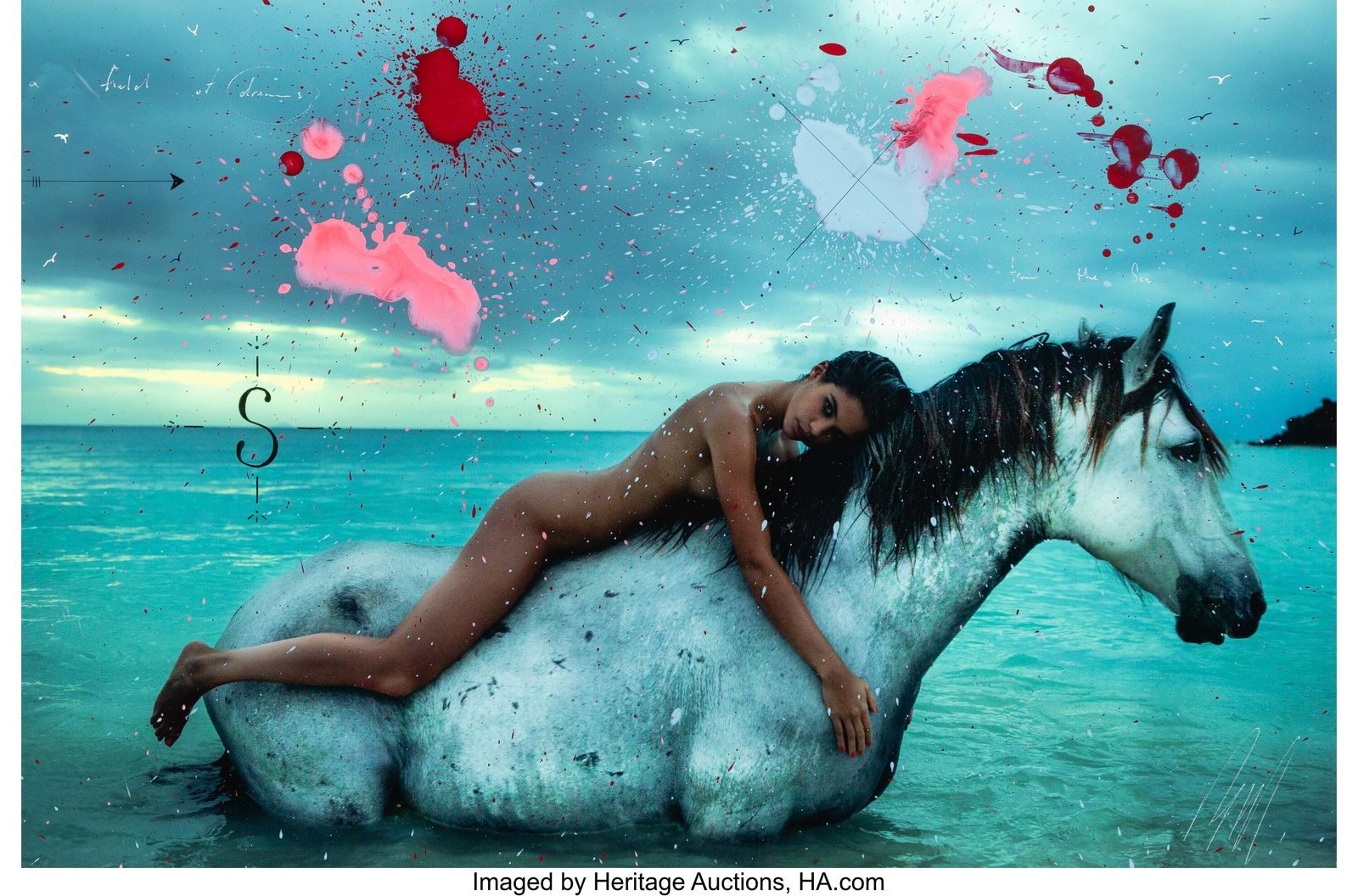 Raphael Mazzucco (Canadian, b. 1965) Field of Dr (1 of 2)