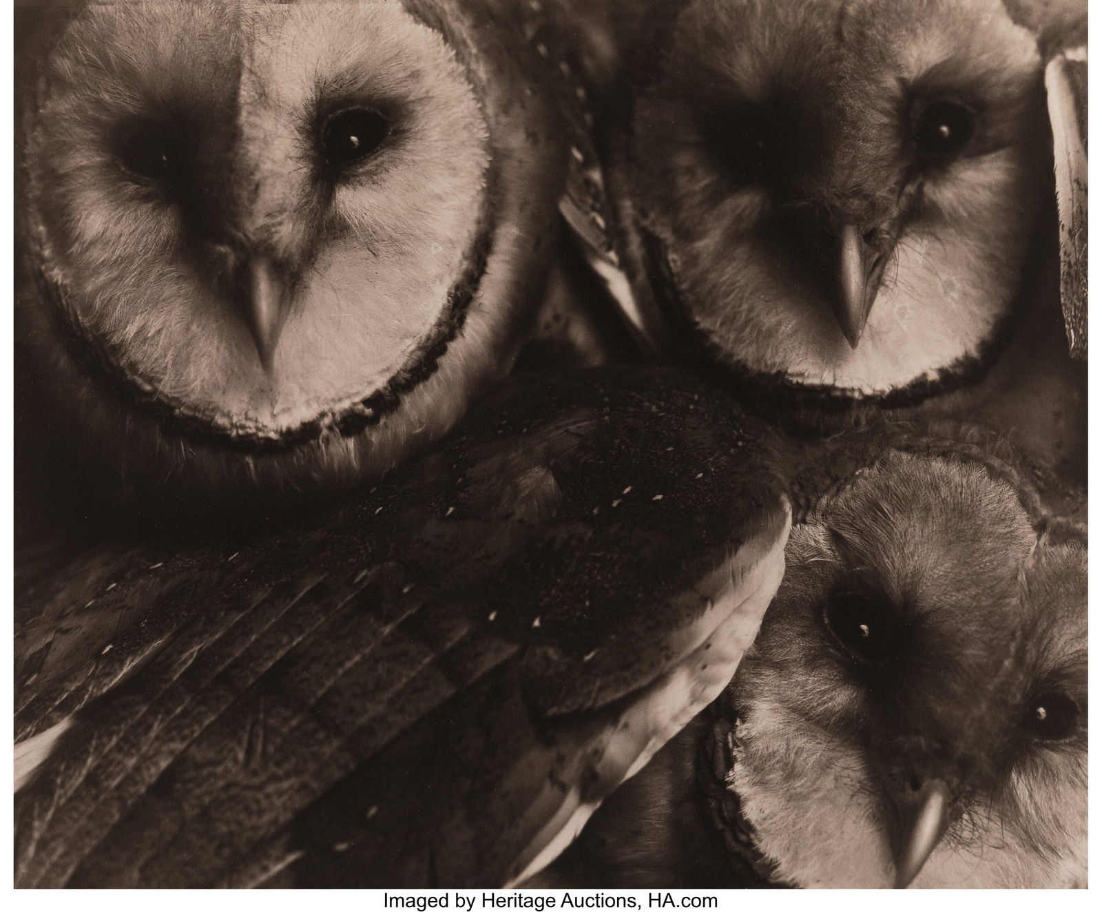 David Michael Kennedy (American, b. 1950) Tres T (1 of 2)