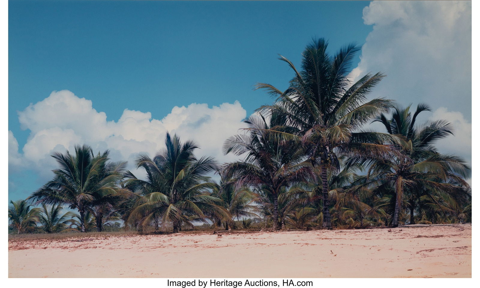 Marine Hugonnier (French, b. 1969) Beach of the (1 of 3)