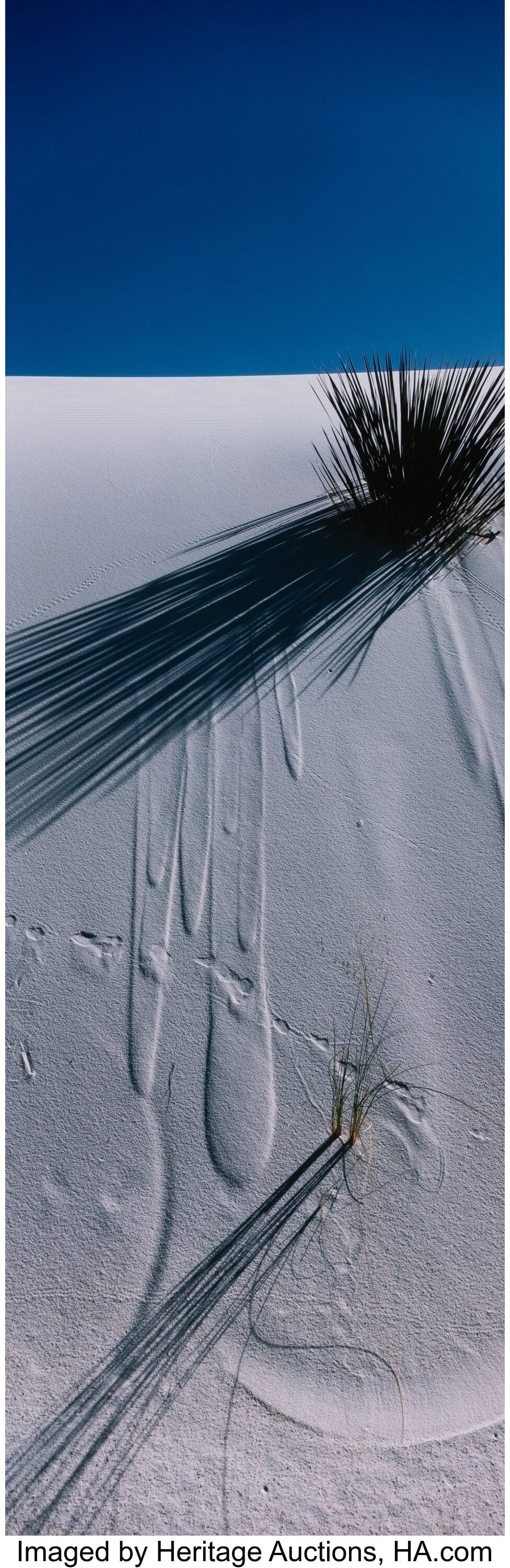 Lucien Clergue (French, 1934-2014) White Sands, (1 of 3)