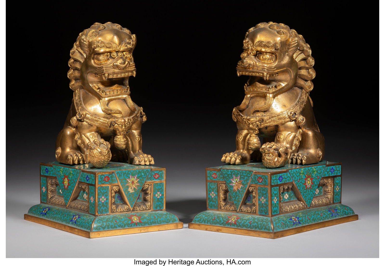 A Pair of Chinese Gilt Bronze Fu Lions on Cloiso: A Pair of Chinese Gilt Bronze Fu Lions on Cloisonné Enameled Bases, 20th century 8-3/4 x 6-3/8 x 4-1/2 inches (22.2 x 16.2 x 11.4 cm)