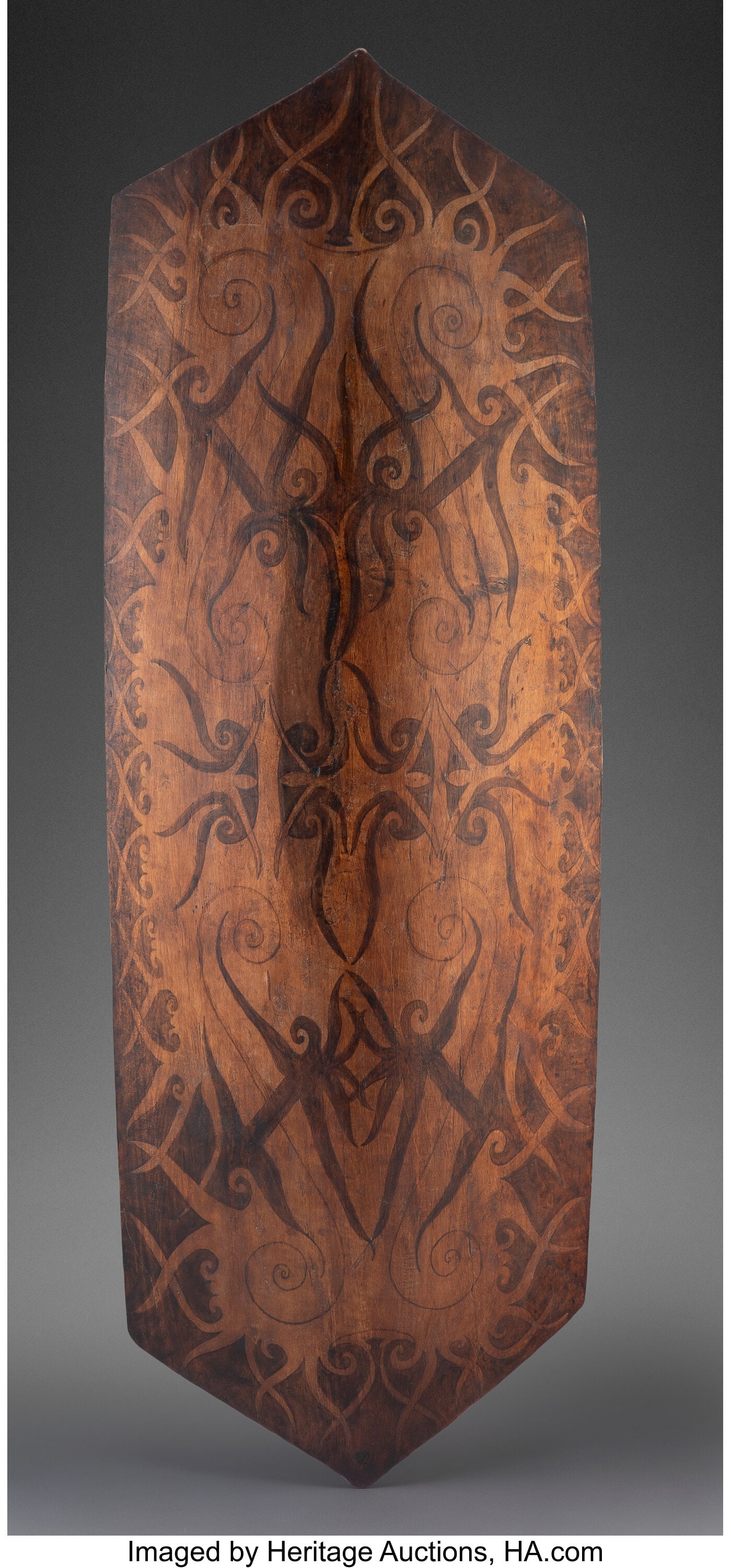 A Kayan Dayak Shield Borneo, Indonesia, 20th (1 of 2)