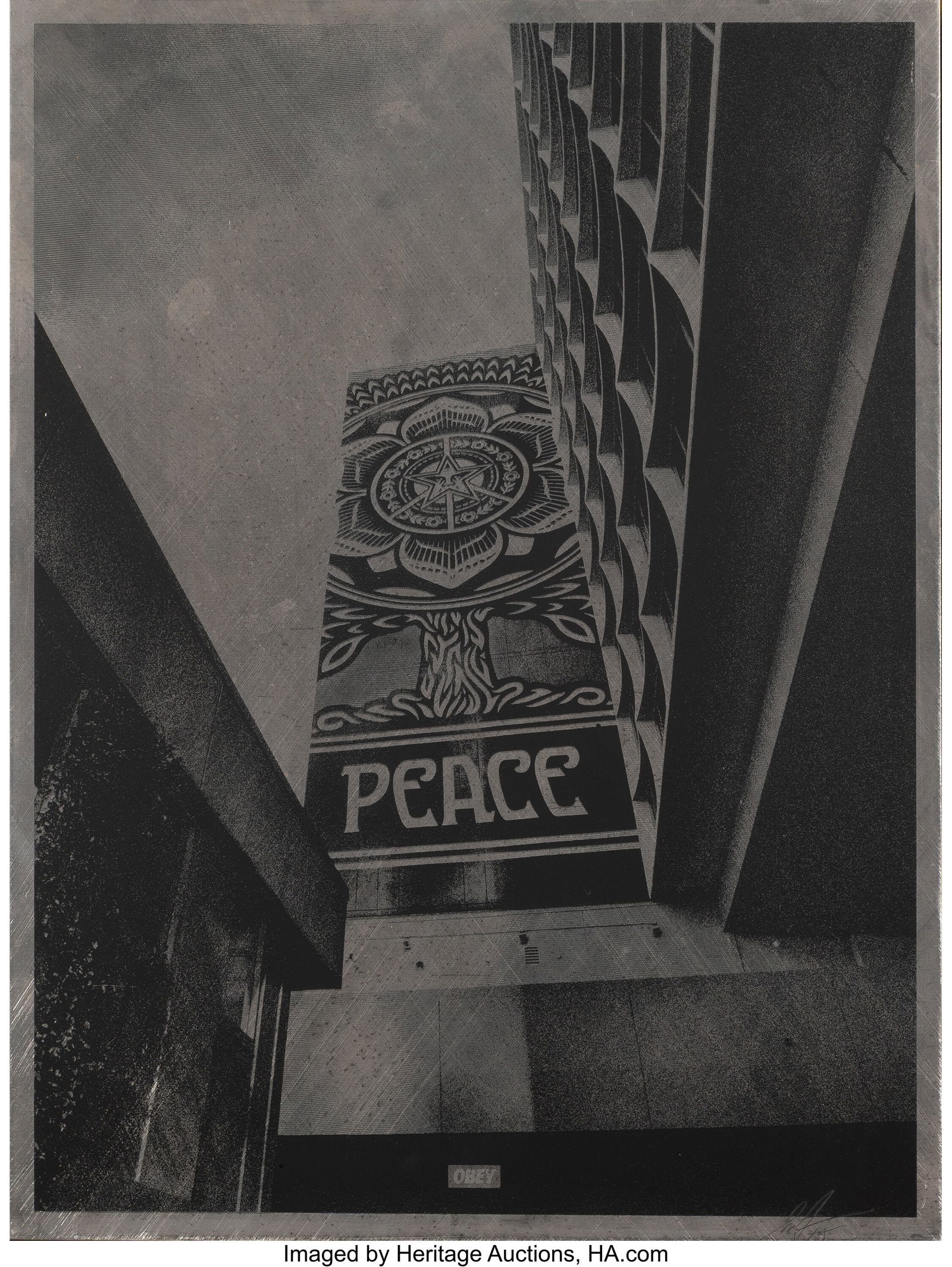 Shepard Fairey (b. 1970) Covert to Overt, 2015 S (1 of 2)