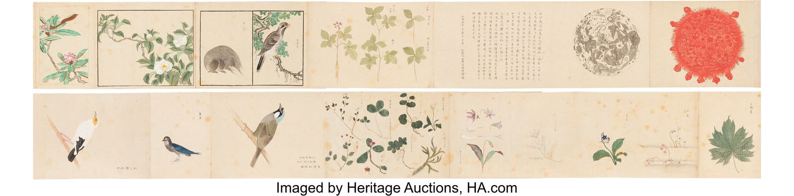 Attributed to Minamoto no Gentatsu (Japanese, Ed (1 of 2)