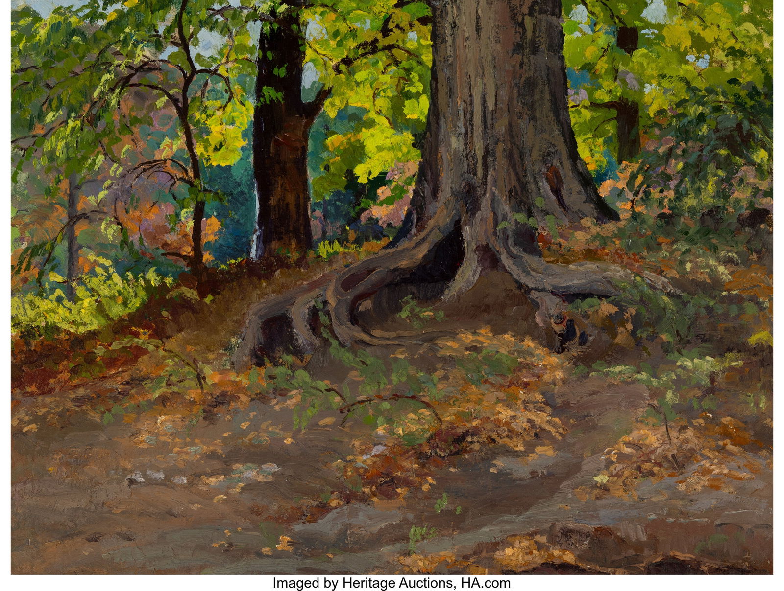 Olin Travis (American, 1888-1975) Forest Roots, (1 of 3)