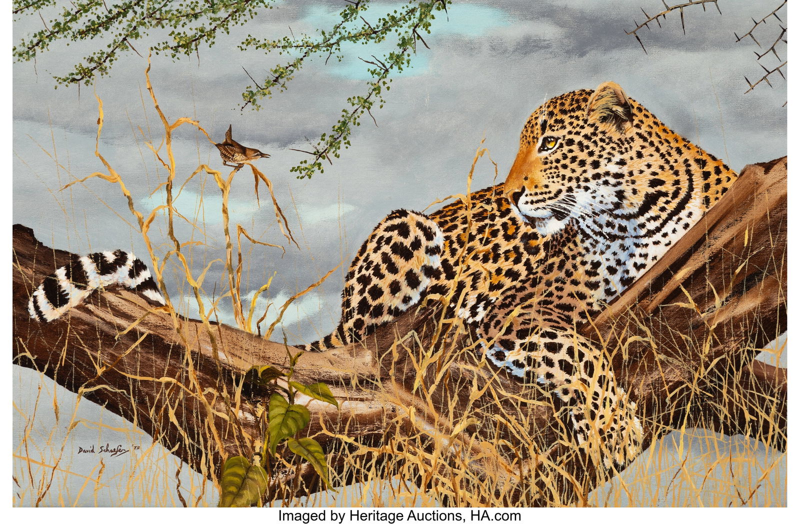 David Schaefer (American, 1949-2012) Cheetah, 19: David Schaefer (American, 1949-2012) Cheetah, 1973 Oil on canvas 21 x 32 inches (53.3 x 81.3 cm) Signed and dated lower left: David Schaefer / '