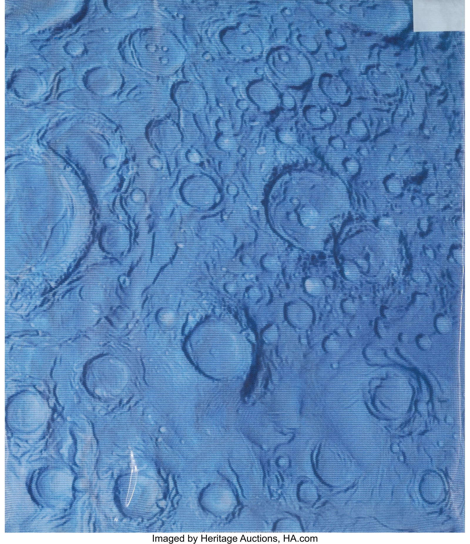 Daniel Arsham (b. 1980) Moon Flag, 2018 Nylon fl: Daniel Arsham (b. 1980) Moon Flag, 2018 Nylon flag with metal mounting rings 59 x 39-3/8 inches (149.9 x 99.9 cm) Edition of 100 Produced by Arsham S