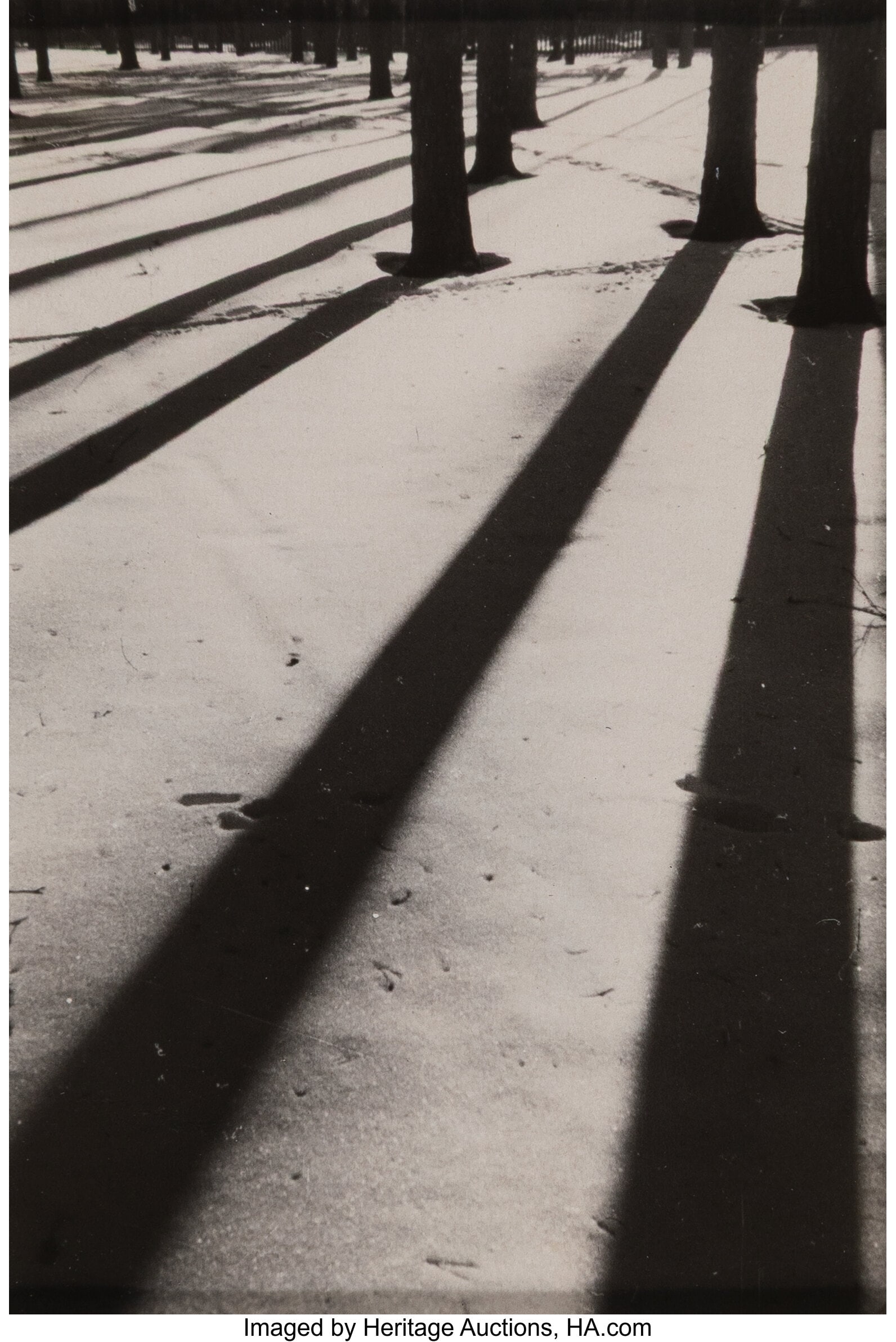 Georgy Zelma (Russian, 1906-1984) Untitled (Tree: Georgy Zelma (Russian, 1906-1984) Untitled (Trees and shadows), 1940s Gelatin silver contact print, mounted on a folded envelope 3-3/4 x 2-5/8 inches &lpa