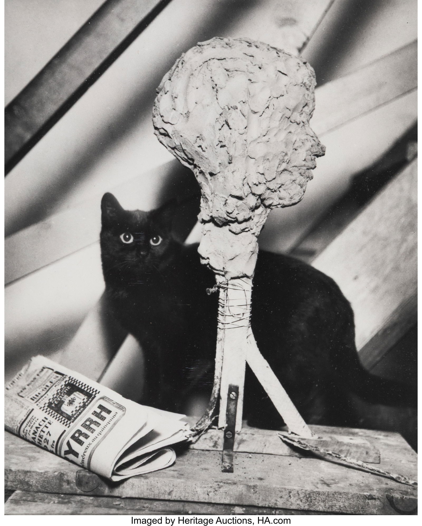 André Kertész (Hungarian, 1894-1985) Studio Ca: André Kertész (Hungarian, 1894-1985) Studio Cat, Hungary, 1926 Gelatin silver print, printed later 9-1/2 x 7-5/8 inches (24.1 x 19&p