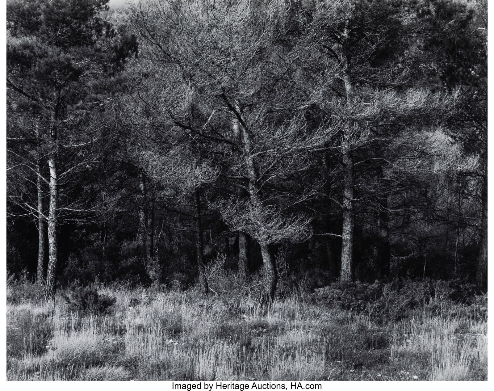 Harry Callahan (American, 1912-1999) Aix-en-Prov (1 of 2)