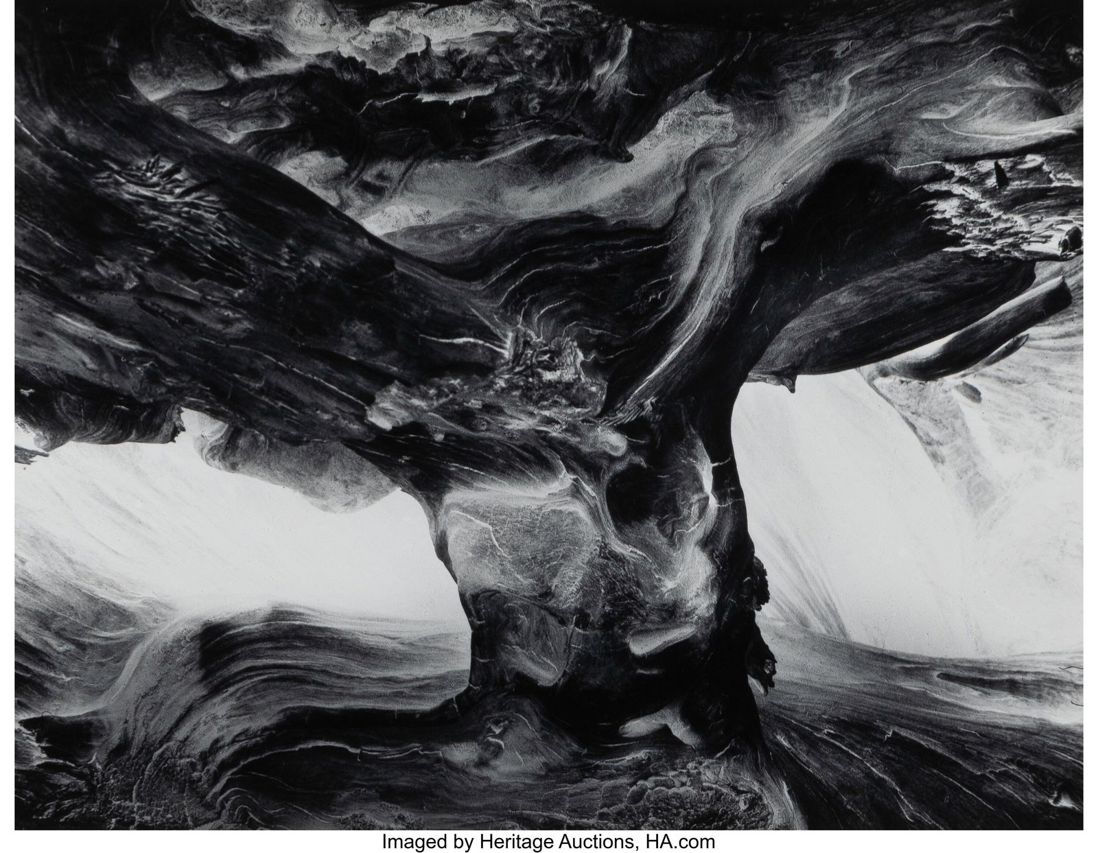 Wynn Bullock (American, 1902-1975) Tree Trunk, 1: Wynn Bullock (American, 1902-1975) Tree Trunk, 1971 Gelatin silver print 7 x 9 inches (17.8 x 22.9 cm) (image/sheet) Signed in pencil,