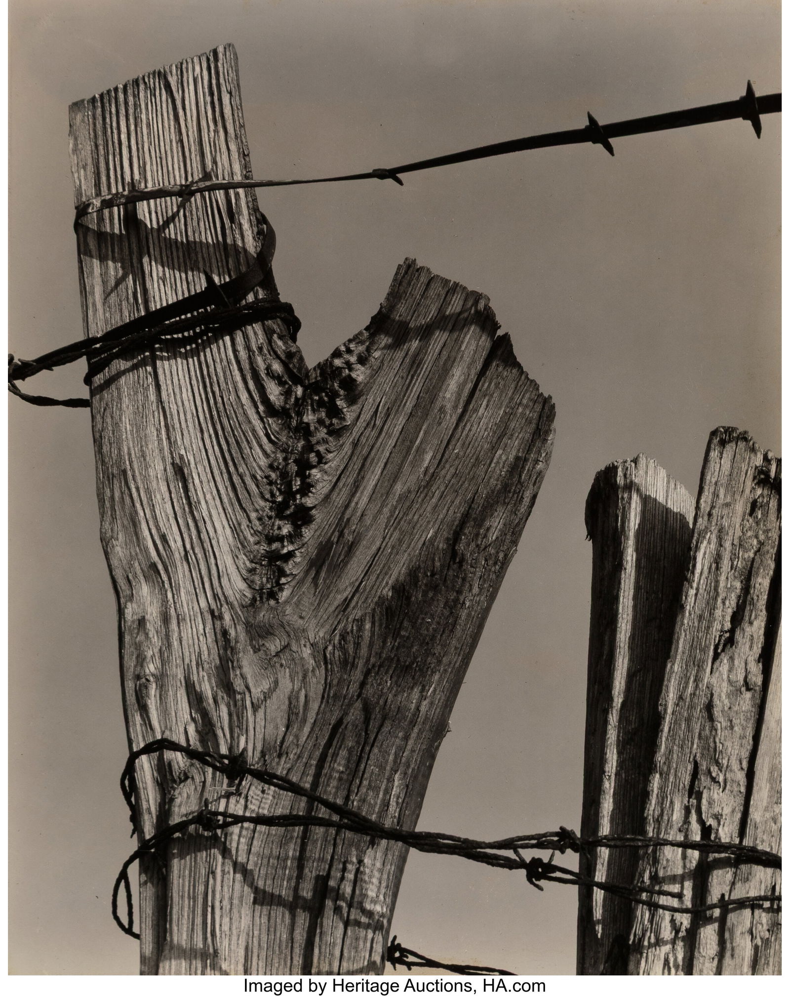 Ralph Steiner (American, 1899-1986) Fence Post w (1 of 5)