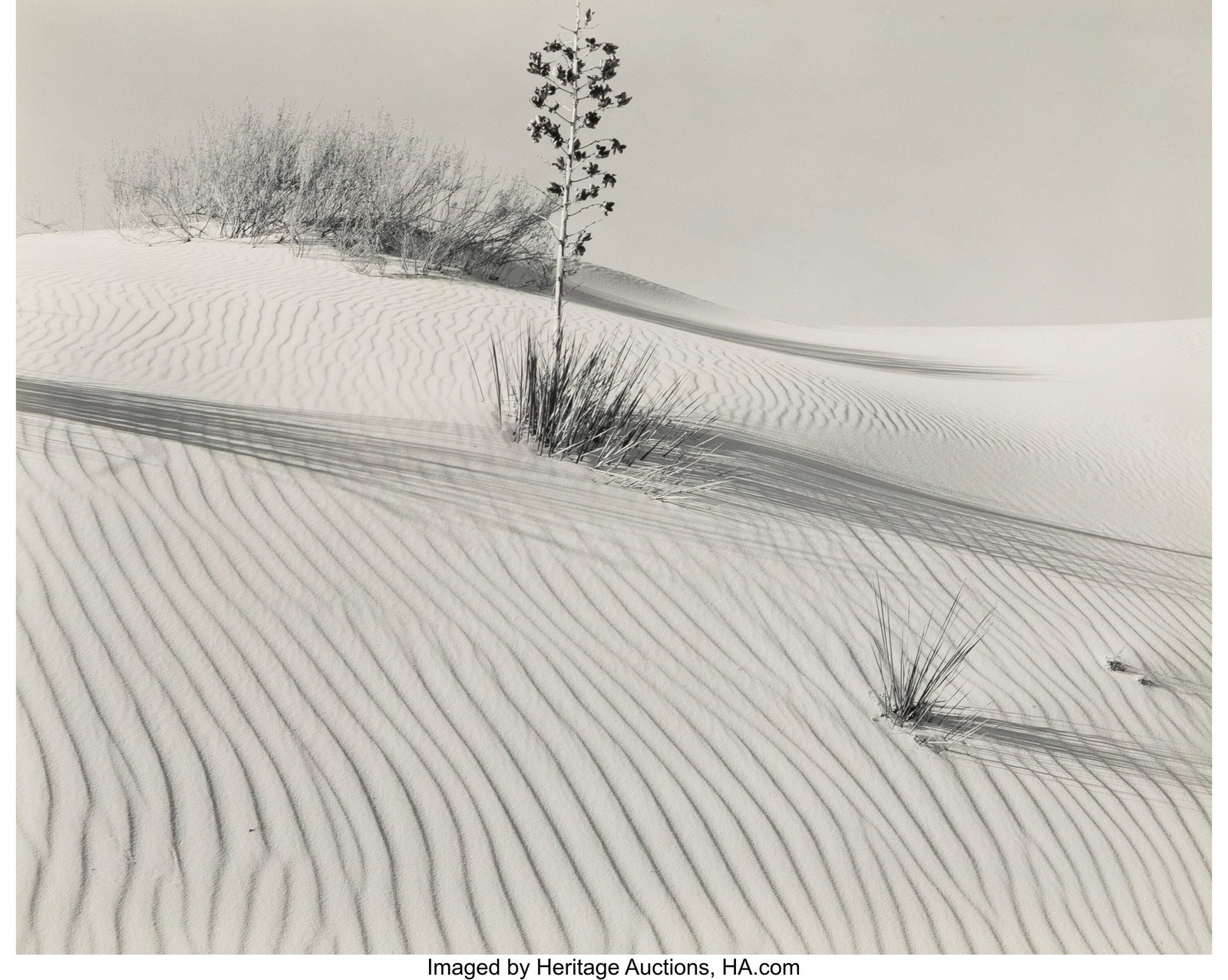Brett Weston (American, 1911-1993) White Sands,: Brett Weston (American, 1911-1993) White Sands, Dune with Yucca, 1946 Gelatin silver print, printed later 7-1/2 x 9-1/2 inches (19.1 x 24.1