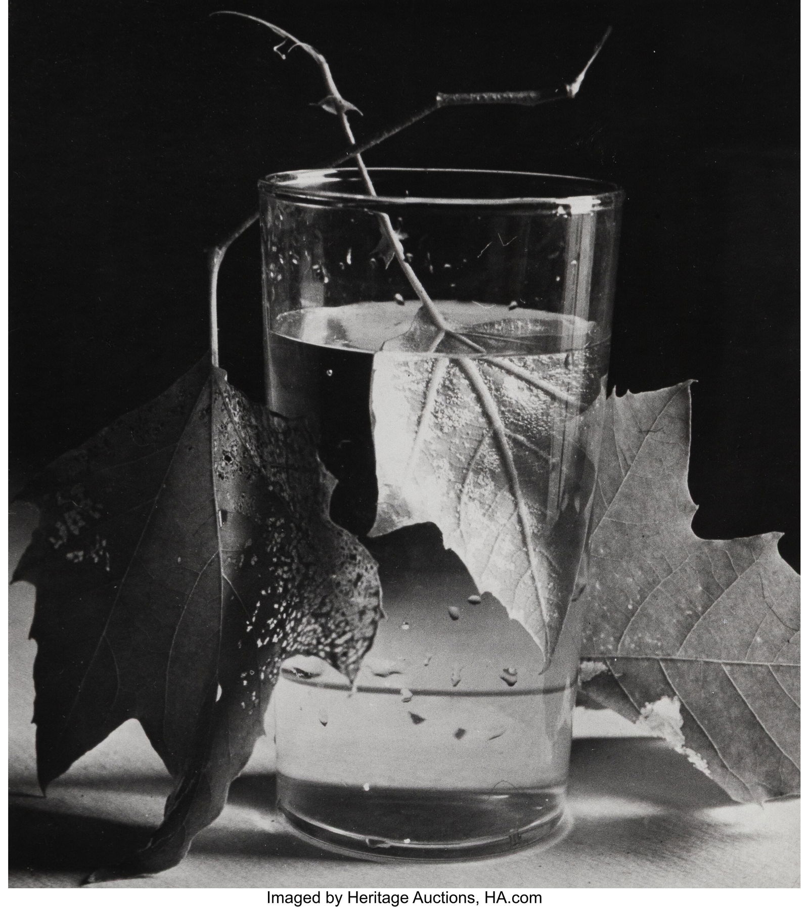 Horst P. Horst (American/German, 1906-1999) Army: Horst P. Horst (American/German, 1906-1999) Army Leaves, Fort Belvoir, Virginia, 1944 Gelatin silver print, printed later 10-1/4 x 9-1/8 inch