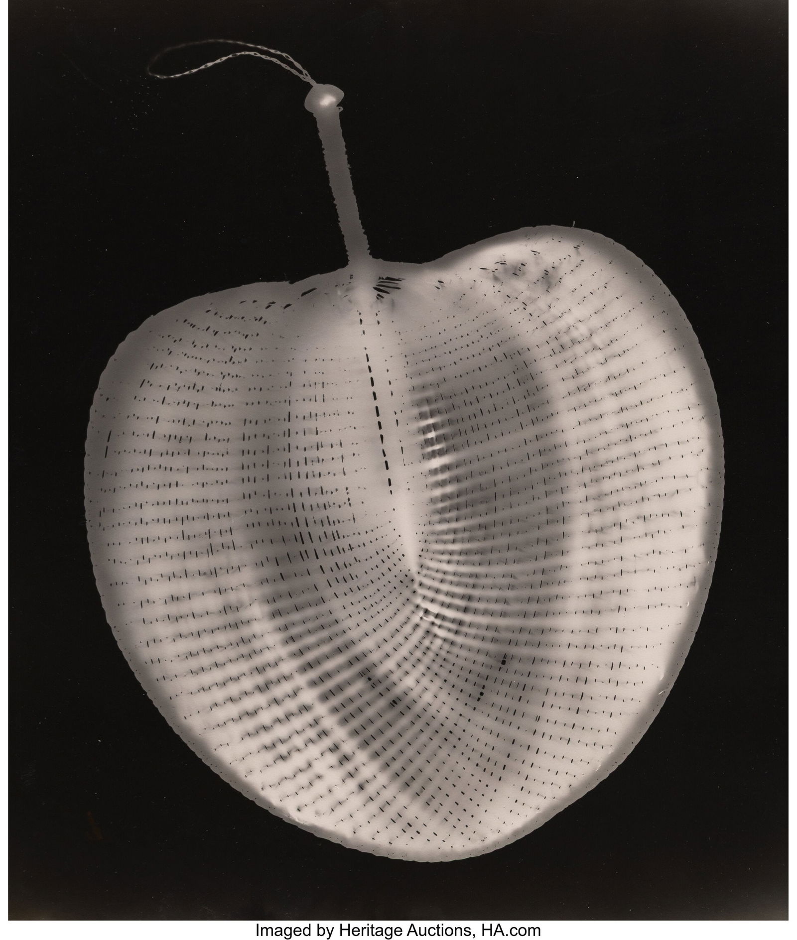 Willy Ronis (French, 1910-2009) Untitled, circa: Willy Ronis (French, 1910-2009) Untitled, circa 1935 Gelatin silver photogram 15-3/8 x 13 inches (39 x 33 cm) (image/sheet) Initialed and inscribed Po