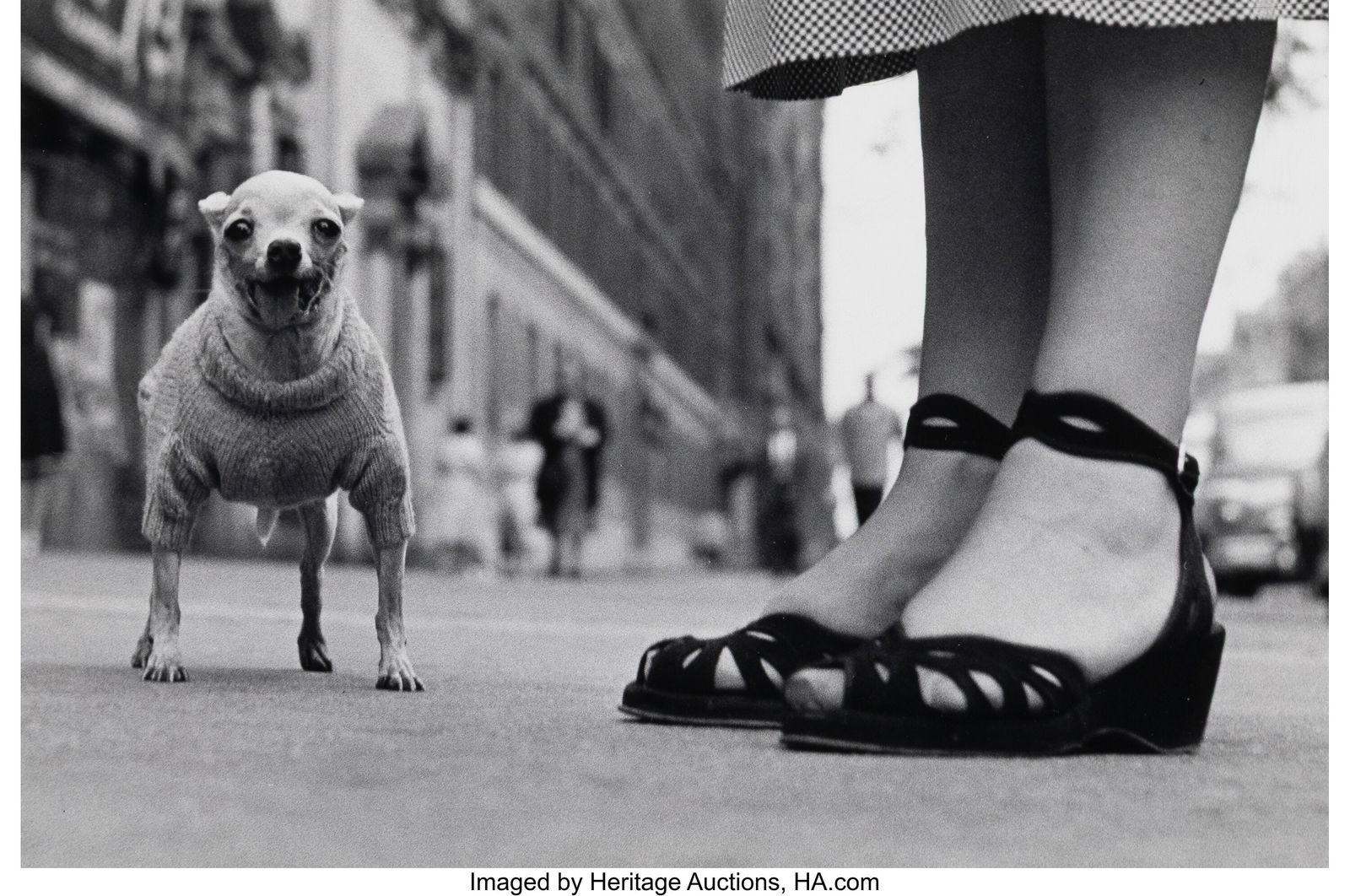 Elliott Erwitt (American, 1928-2023) New York (D: Elliott Erwitt (American, 1928-2023) New York (Dog with Feet), 1946 Gelatin silver print, printed later 7-3/4 x 12 inches (19.7 x 30.5 cm&r