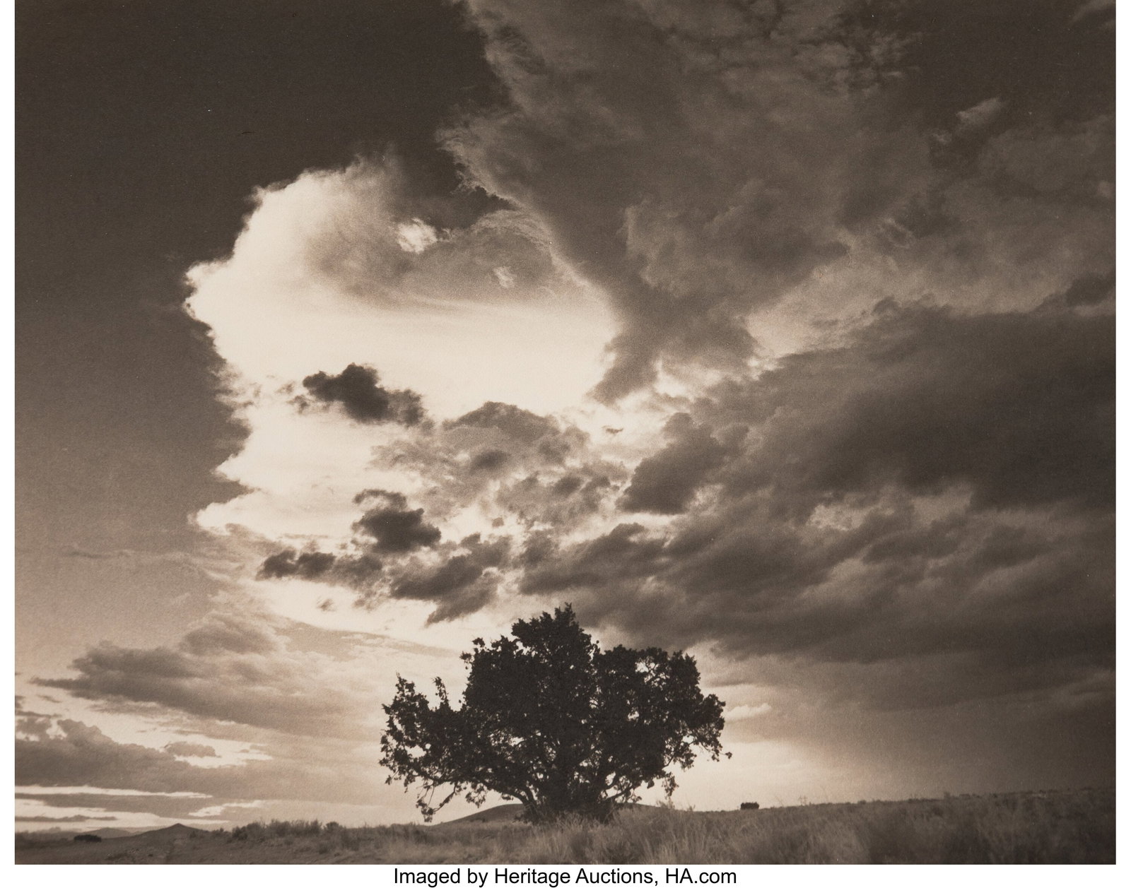 David Michael Kennedy (American, b. 1950) Junipe: David Michael Kennedy (American, b. 1950) Juniper Waldo; Cattle Shoot; Waterfall #2 Oak Creek (3 works), 1988-1990 Platinum palladium prints,