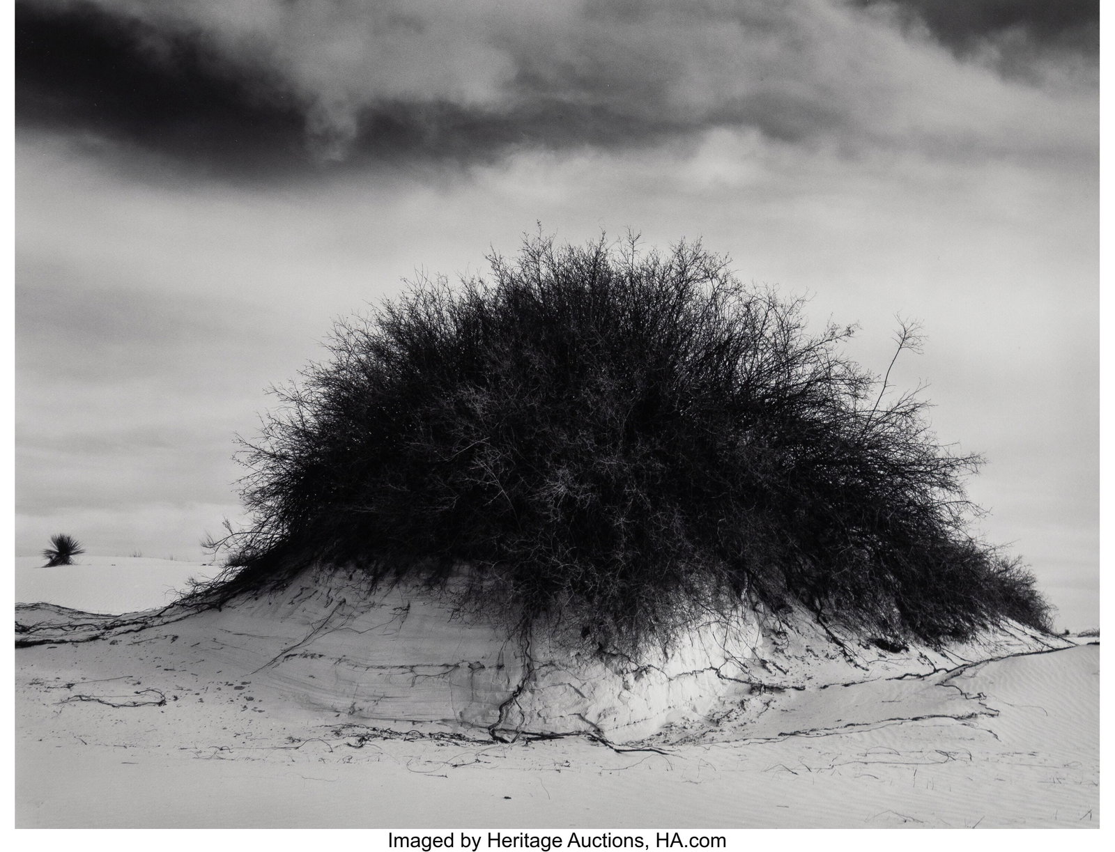 Russell Banks (American, b. 1951) Group of two p: Russell Banks (American, b. 1951) Group of two photographs, 1979 Gelatin silver prints, printed 1980-1981 9 x 11-1/2 inches (22.9 x 29.2 cm&rp