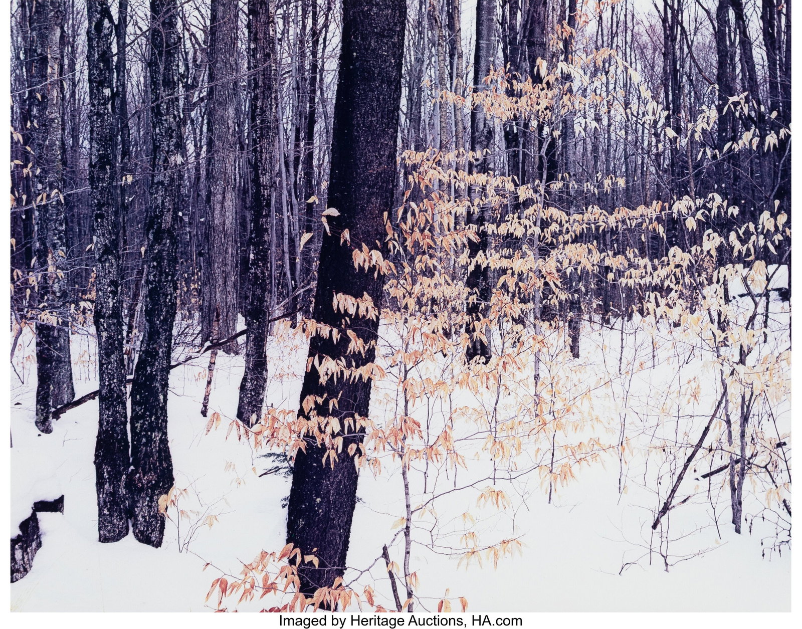 Eliot Furness Porter (American, 1901-1990) Adiro: Eliot Furness Porter (American, 1901-1990) Adirondacks, New York, 1965 Dye transfer print 8 x 10-1/8 inches (20.3 x 25.7 cm) (image/she