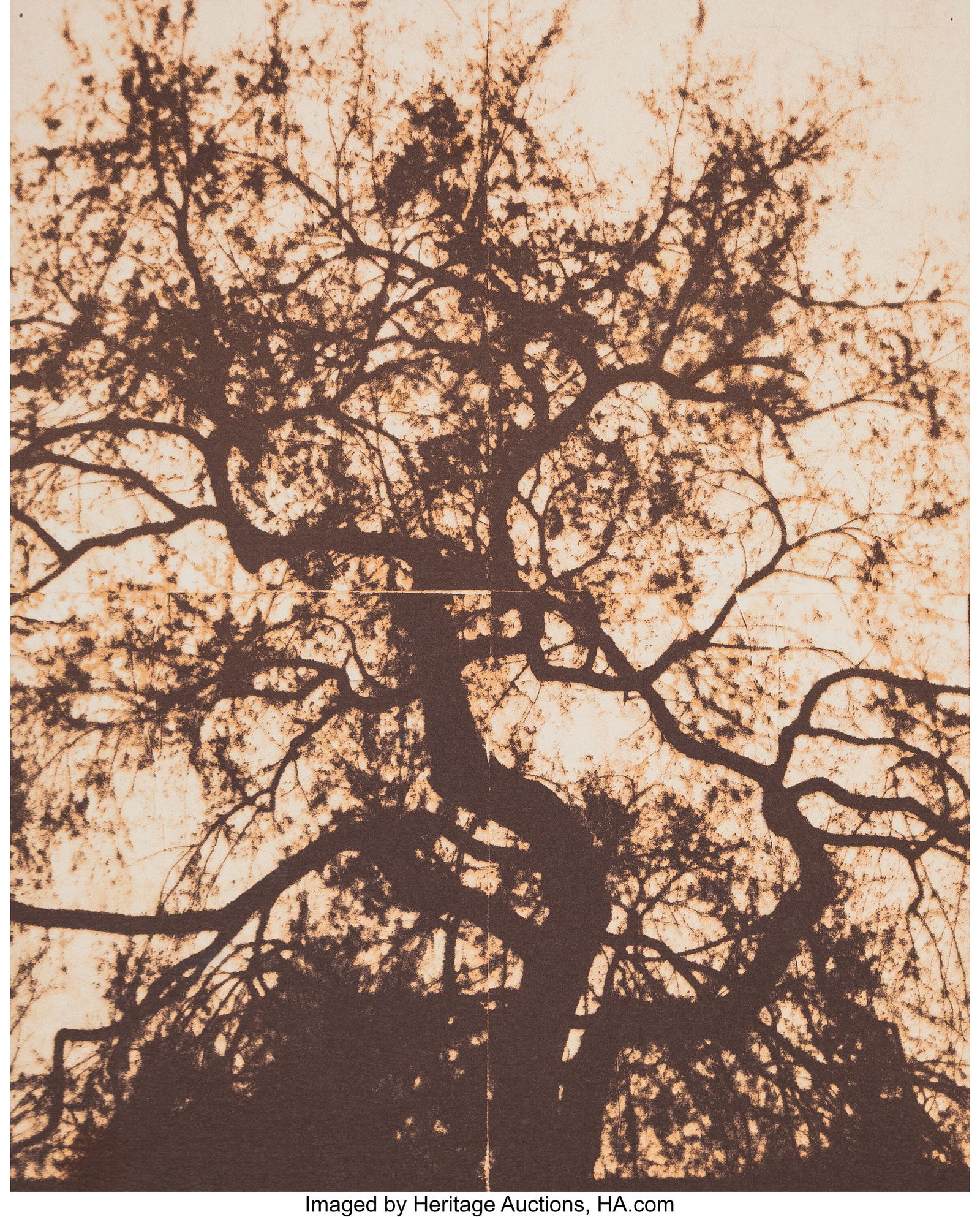 Doug and Mike Starn (American, b. 1961) Untitled: Doug and Mike Starn (American, b. 1961) Untitled (Chanterelle Dinner Menu), 1998 Lithograph print 11 x 9 inches (27.9 x 22.9 cm) (im