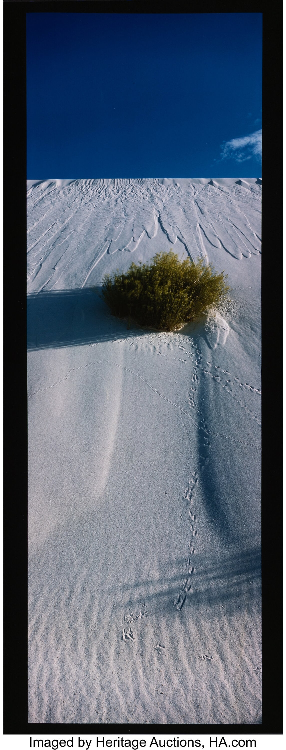 Lucien Clergue (French, 1934-2014) White Sands I: Lucien Clergue (French, 1934-2014) White Sands I, 1985 Dye bleach print 31 x 10-1/2 inches (78.7 x 26.7 cm) (image) 32 x 12 inches (she