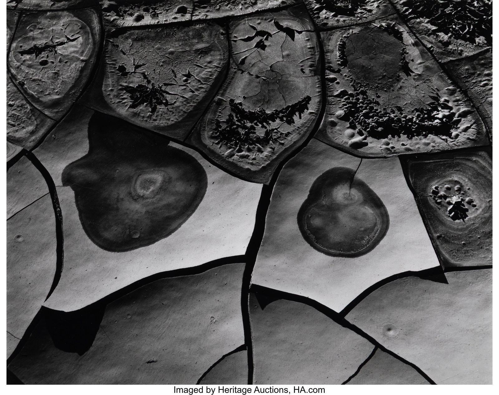 Brett Weston (American, 1911-1993) Mud Cracks, 1: Brett Weston (American, 1911-1993) Mud Cracks, 1977 Gelatin silver print 10-1/2 x 13-1/4 inches (26.7 x 33.7 cm) (sight) Signed and date