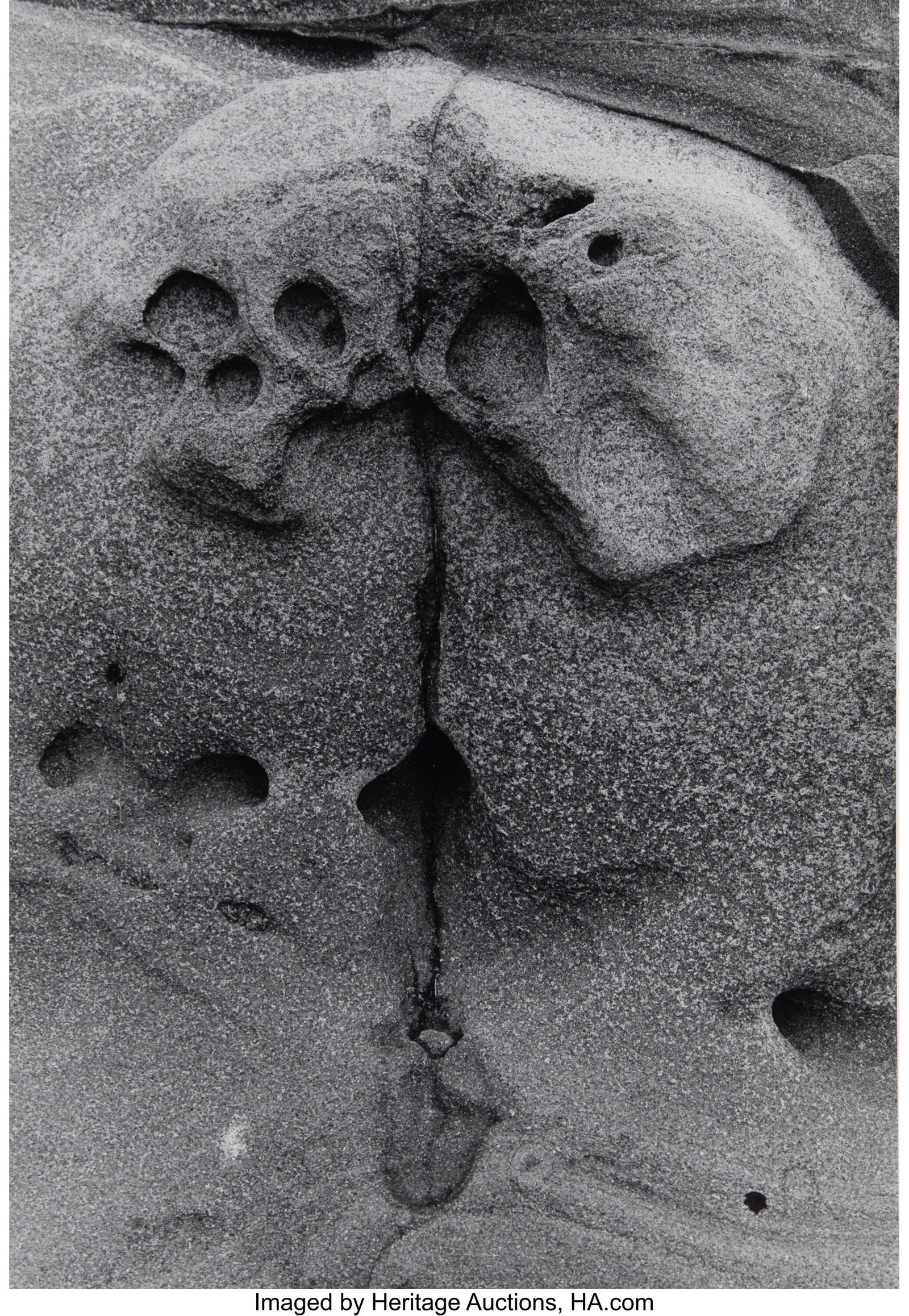 Lucien Clergue (French, 1934-2014) Point Lobos,: Lucien Clergue (French, 1934-2014) Point Lobos, California, 1983 Gelatin silver print, printed 1986 14-1/4 x 9-3/4 inches (36.2 x 24.8 cm&r