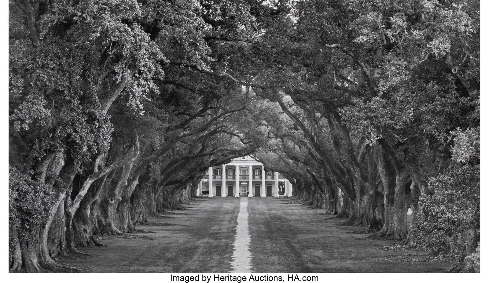 William Guion (American, 20th Century) Oak Alley: William Guion (American, 20th Century) Oak Alley Plantation: View from Levee, 1994 Gelatin silver print, printed 1998 7-7/8 x 13-1/2 inches (20.0