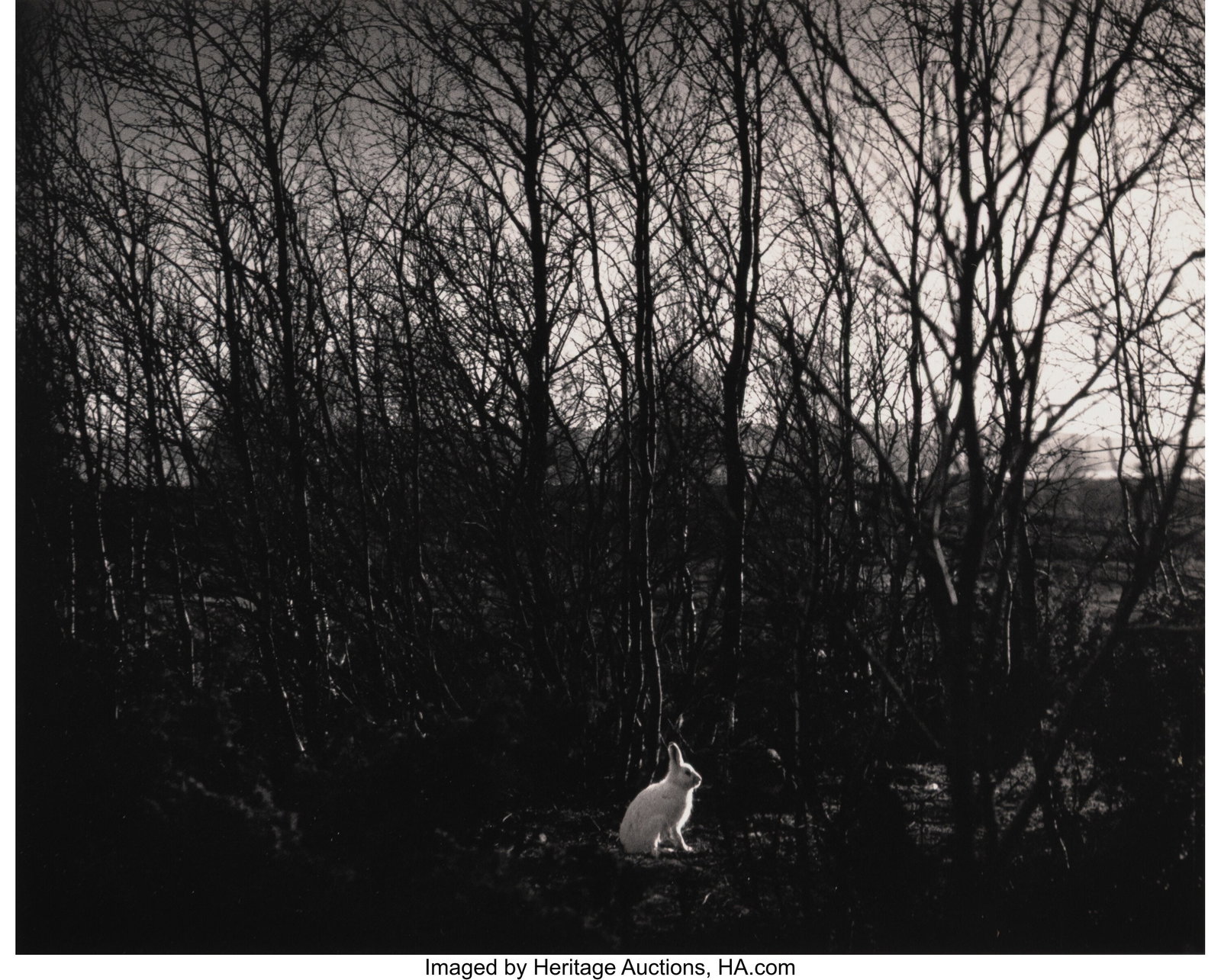 Pentti Sammallahti (Finnish, b. 1950) Signilskar: Pentti Sammallahti (Finnish, b. 1950) Signilskar, Finland, 1974 Gelatin silver print 7-1/4 x 9-1/8 inches (18.4 x 23.2 cm) (imag