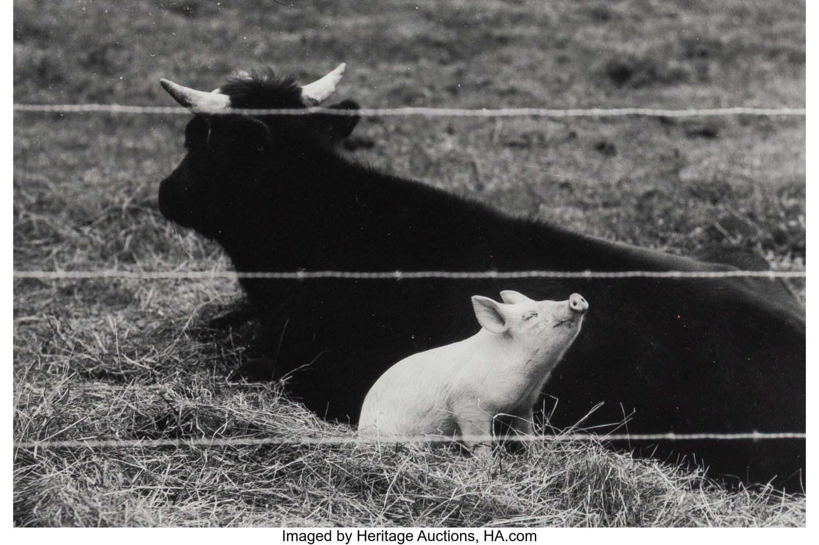 George Zimbel (American, b. 1929-2023) Group of: George Zimbel (American, b. 1929-2023) Group of 3 photographs, 1964-1976 Gelatin silver prints, printed later 16 x 12 inches (40.6 x 30.5 cm)