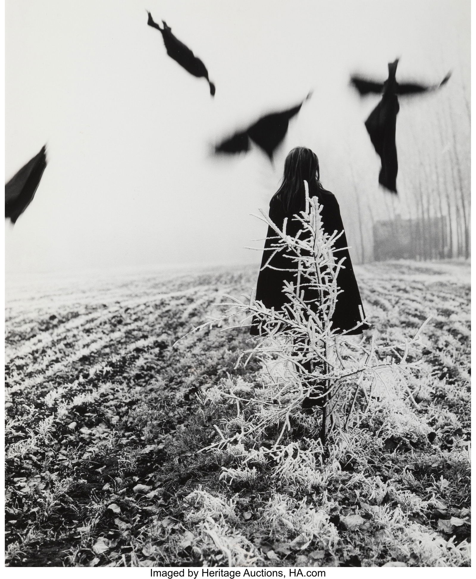 Mario Lasalandra (Italian, b. 1933) Spaventapass: Mario Lasalandra (Italian, b. 1933) Spaventapasseri (Scarecrow), 1968 Gelatin silver print 14-1/2 x 11-3/4 inches (36.8 x 29.8 cm&rpar
