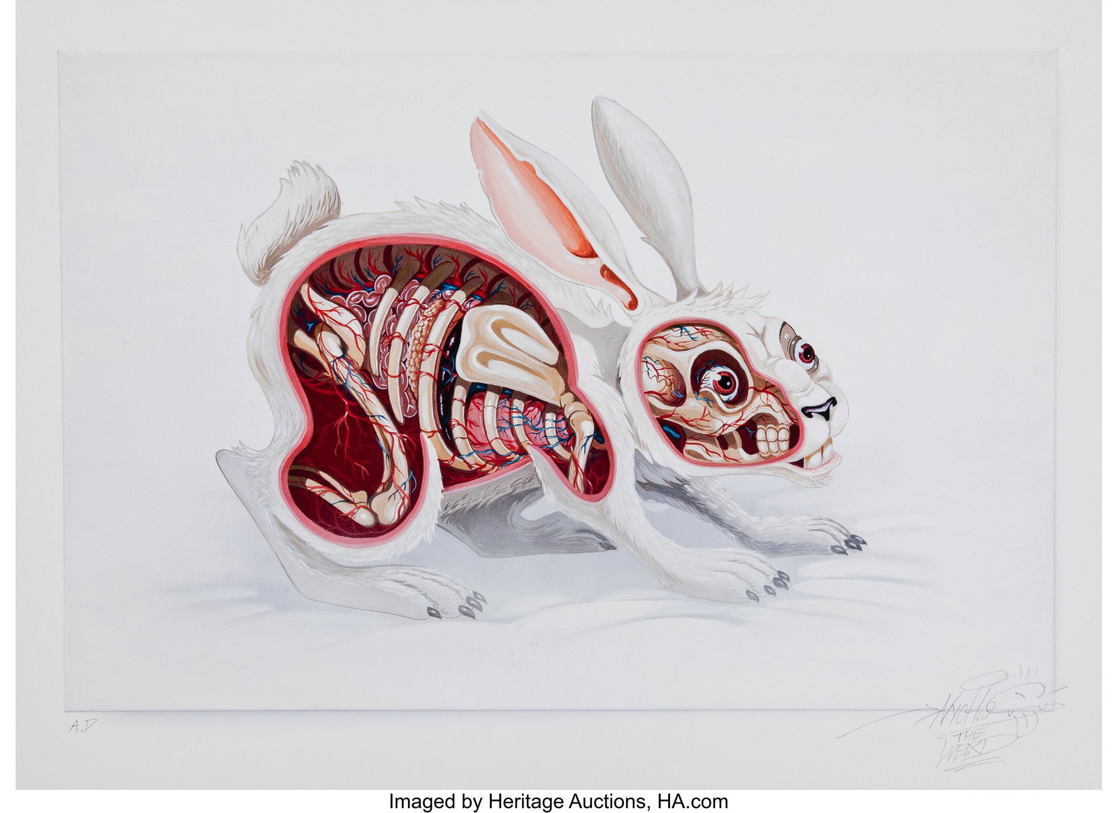 Nychos (b. 1982) Lepus Pellis Os Omentum, 2013 A: Nychos (b. 1982) Lepus Pellis Os Omentum, 2013 Archival pigment print in colors on wove paper 16 x 22 inches (40.6 x 55.9 cm) (sheet) A.