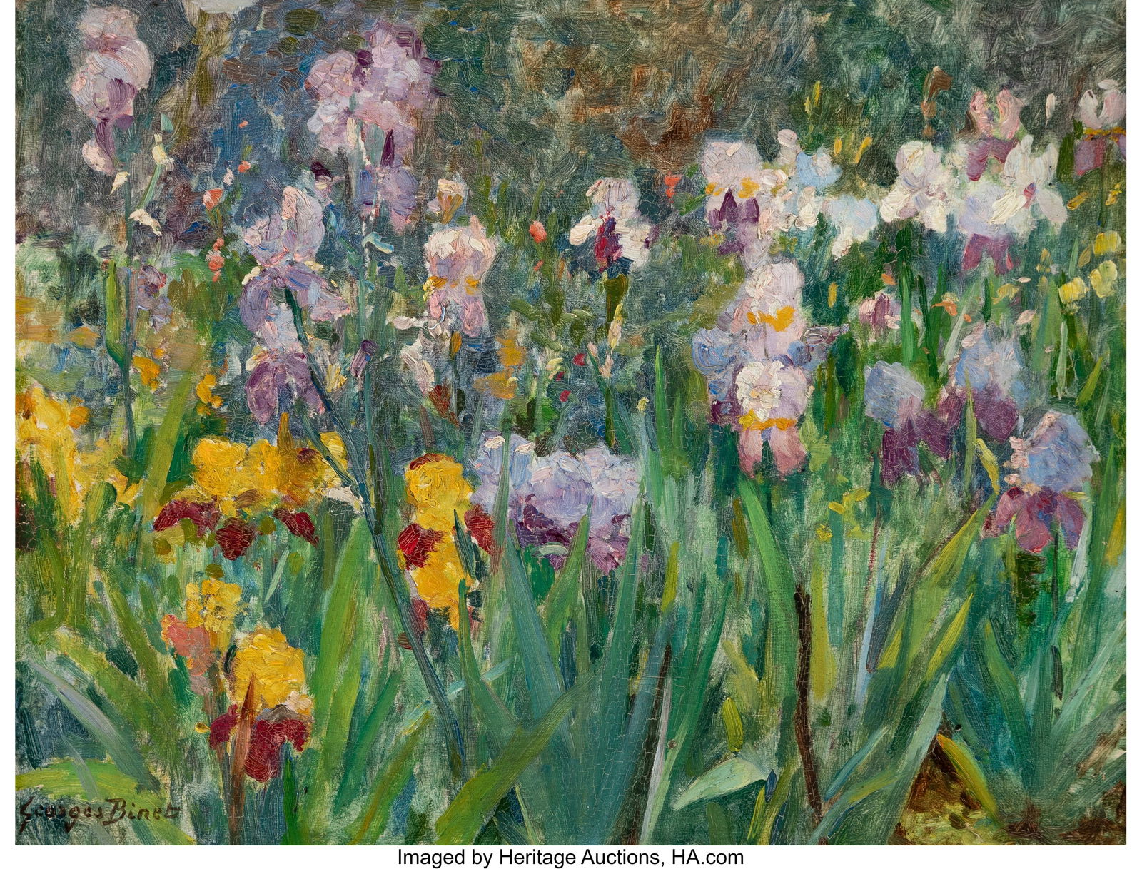 Georges Jules Ernest Binet (French, 1865-1949) L: Georges Jules Ernest Binet (French, 1865-1949) Les Iris Oil on board 10-1/2 x 14 inches (26.7 x 35.6 cm) Signed lower left: Georges Binet PROVENANCE&c
