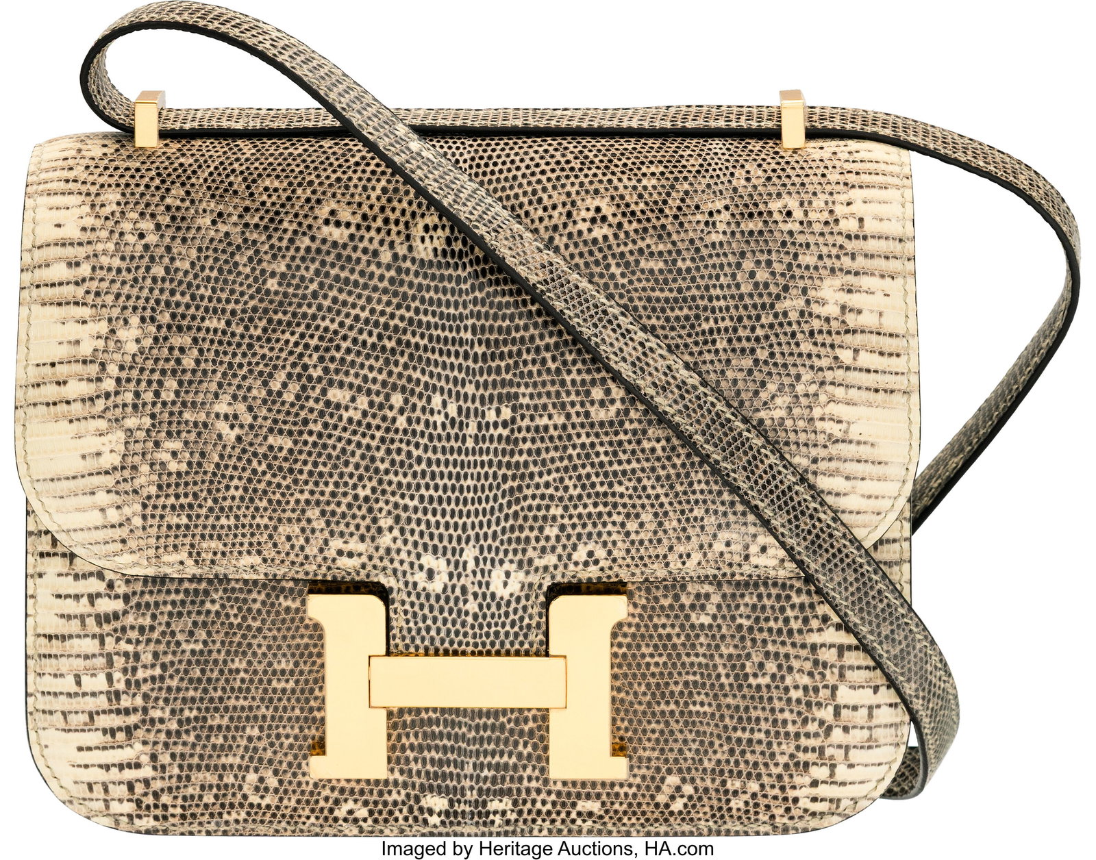 Hermès 18cm Ombre Salvator Lizard Mini Constanc (1 of 4)