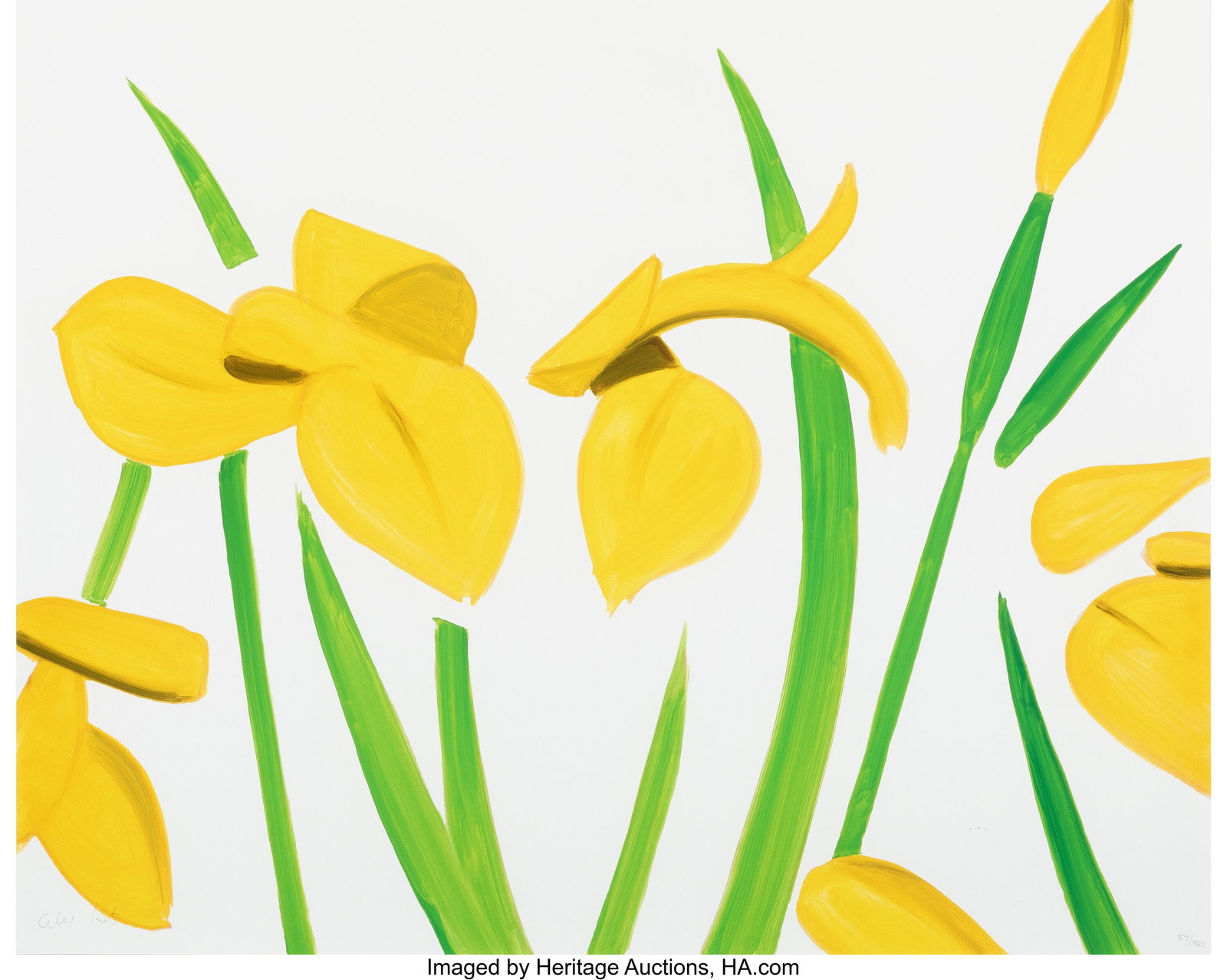 Alex Katz (b. 1927) Yellow Flags on White, 2023: Alex Katz (b. 1927) Yellow Flags on White, 2023 Archival pigment ink print in colors on Innova Etching paper 24 x 30 inches (61.0 x 76.2 cm) (sheet&