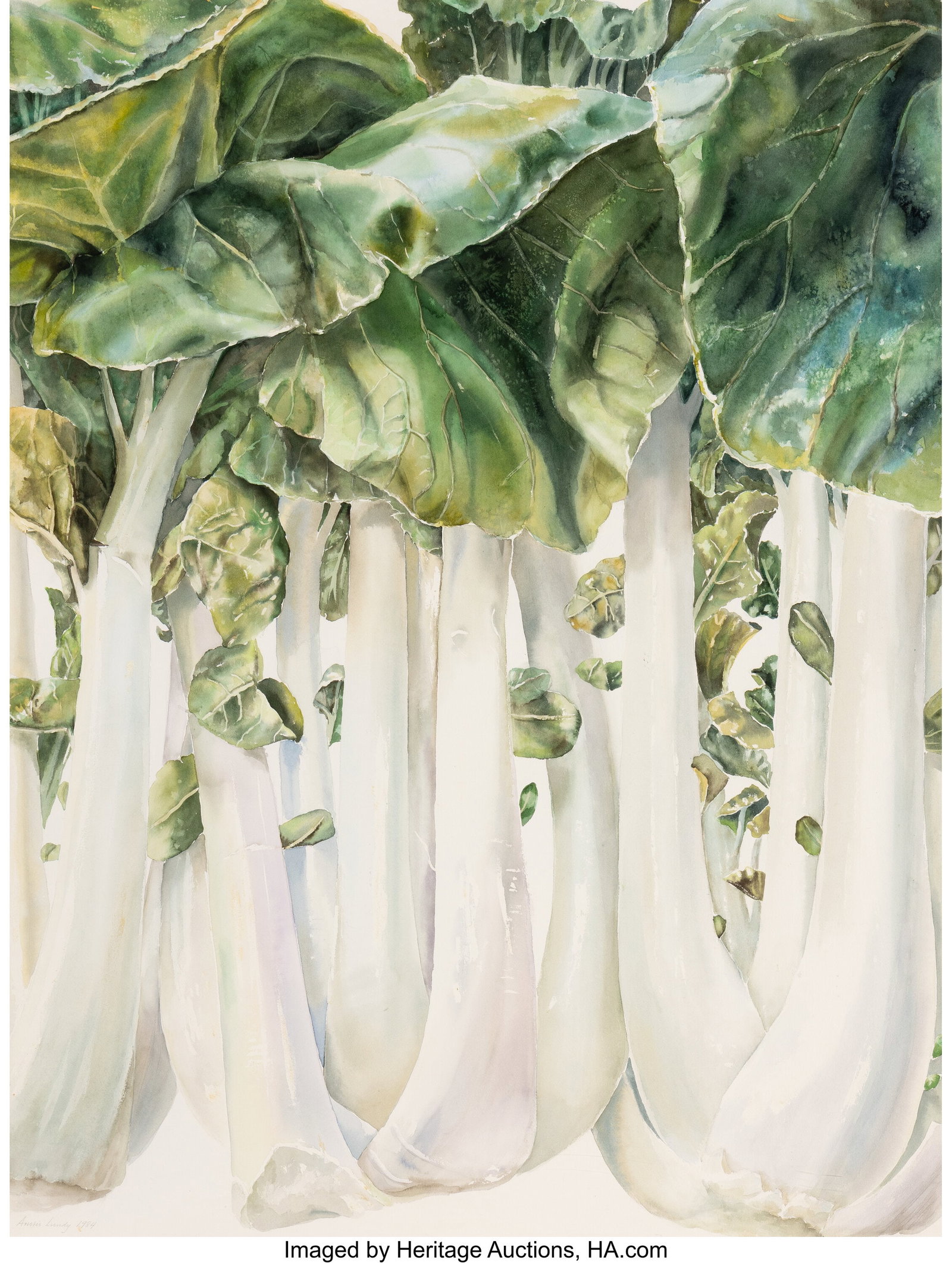 Anstis Lundy (American, 1924-2009) Bok Choy (Chi: Anstis Lundy (American, 1924-2009) Bok Choy (Chinese Cabbage), 1984 Watercolor on paper 52 x 40 inches (132.1 x 101.6 cm) (sheet) Sign