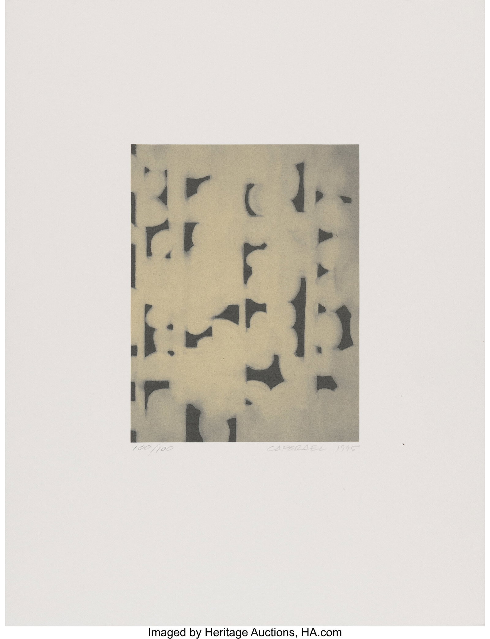 Suzanne Caporael (b. 1974) In the Negative, 1995 (1 of 1)
