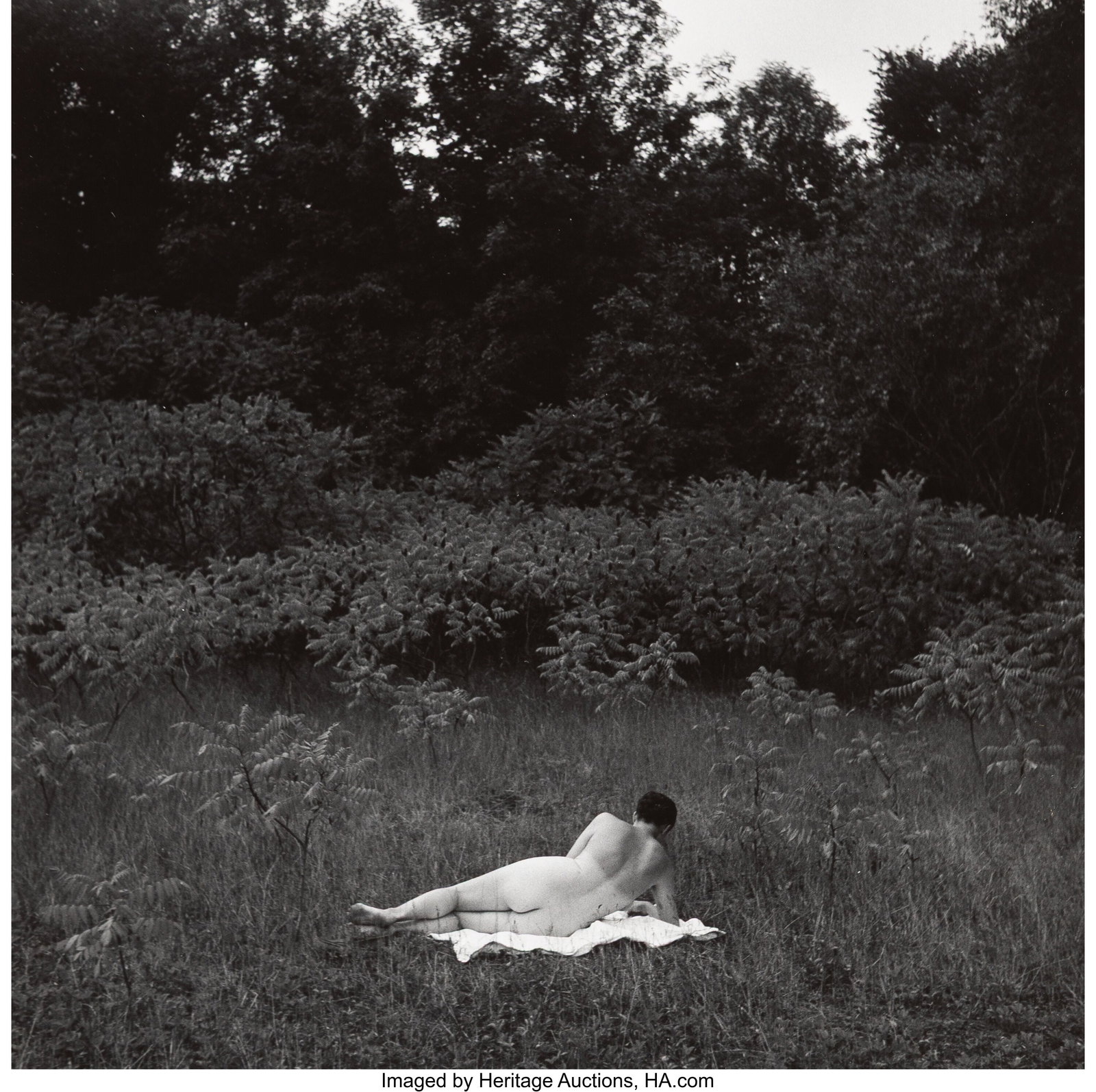 Harry Callahan (American, 1912-1999) Eleanor, 19: Harry Callahan (American, 1912-1999) Eleanor, 1954 Gelatin silver print, printed later 7 x 7 inches (17.8 x 17.8 cm) (image) 10 x 8 inches