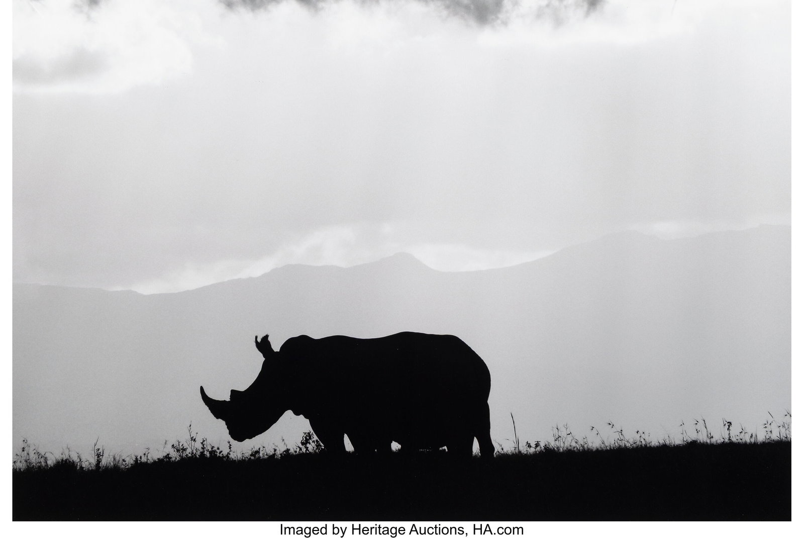 Raphael Mazzucco (Canadian, b. 1965) Rhino Silho (1 of 2)