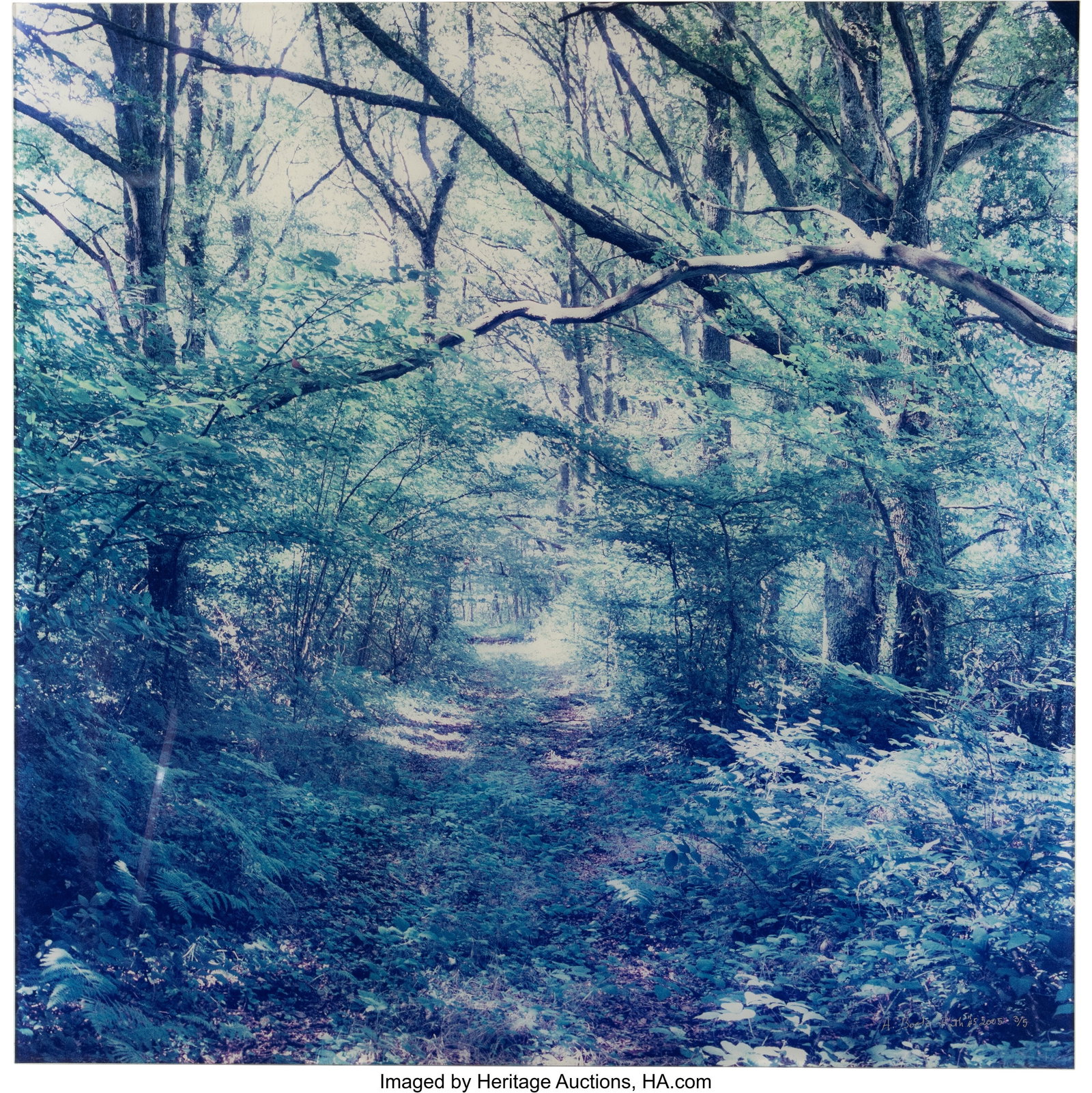 Antoine Bootz (20th Century) Path #5, 2005 Dye c: Antoine Bootz (20th Century) Path #5, 2005 Dye coupler print 48 x 48 inches (121.9 x 121.9 cm) (image/sheet) Signed, titled, dated