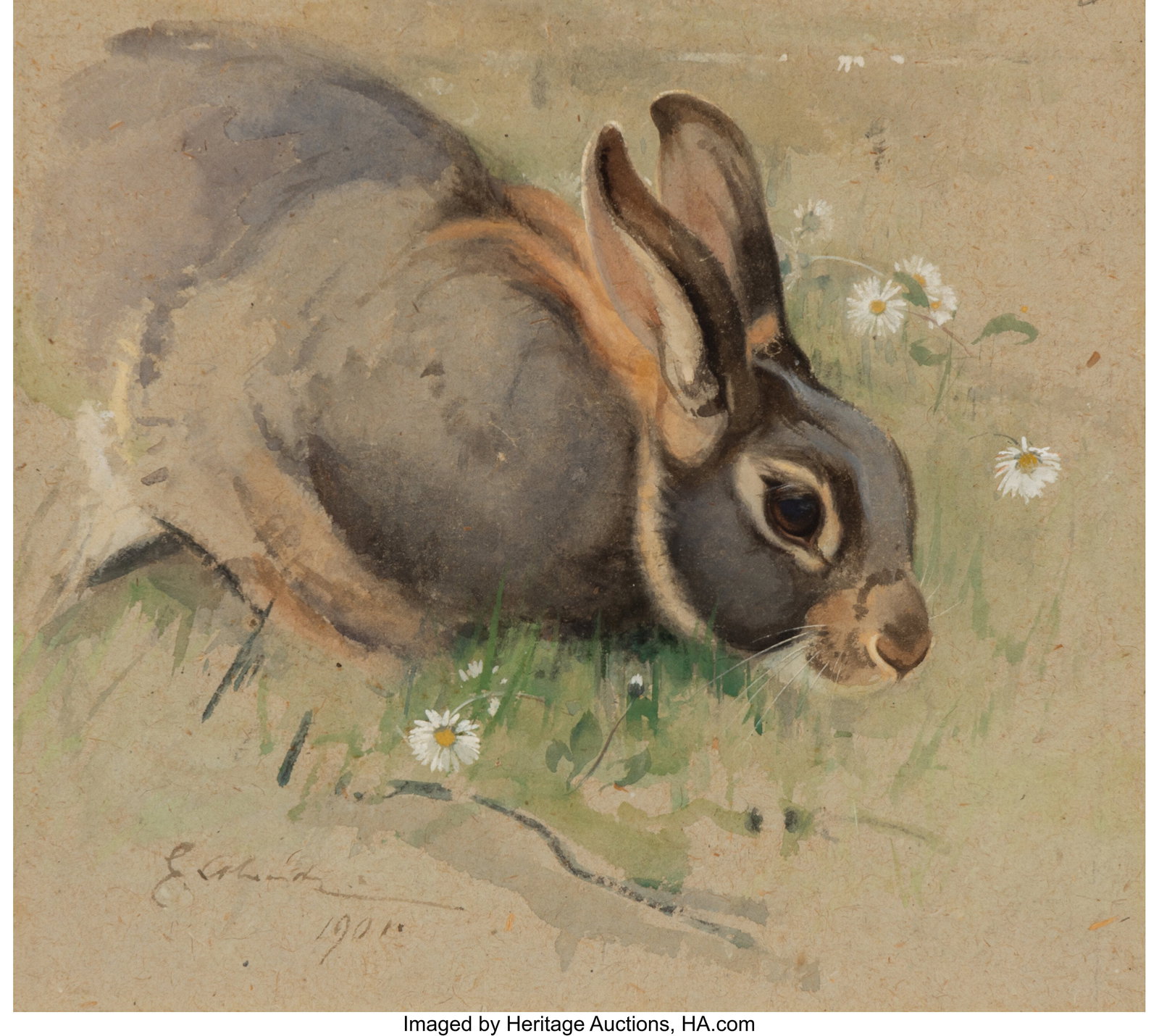 Edwin Alexander (British, 1870-1926) A Belgian H: Edwin Alexander (British, 1870-1926) A Belgian Hare, 1901 Watercolor on paper 10-1/2 x 12 inches (26.7 x 30.5 cm) (sight) Signed and dated l