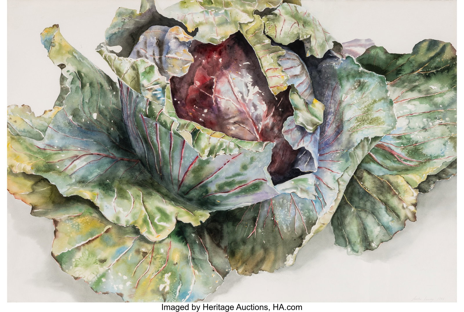 Anstis Lundy (American , 1924-2009) Cabbages, 19: Anstis Lundy (American , 1924-2009) Cabbages, 1984 Watercolor on paper 40 x 59 inches (101.6 x 149.9 cm) (sheet) Signed and dated in pencil lowe