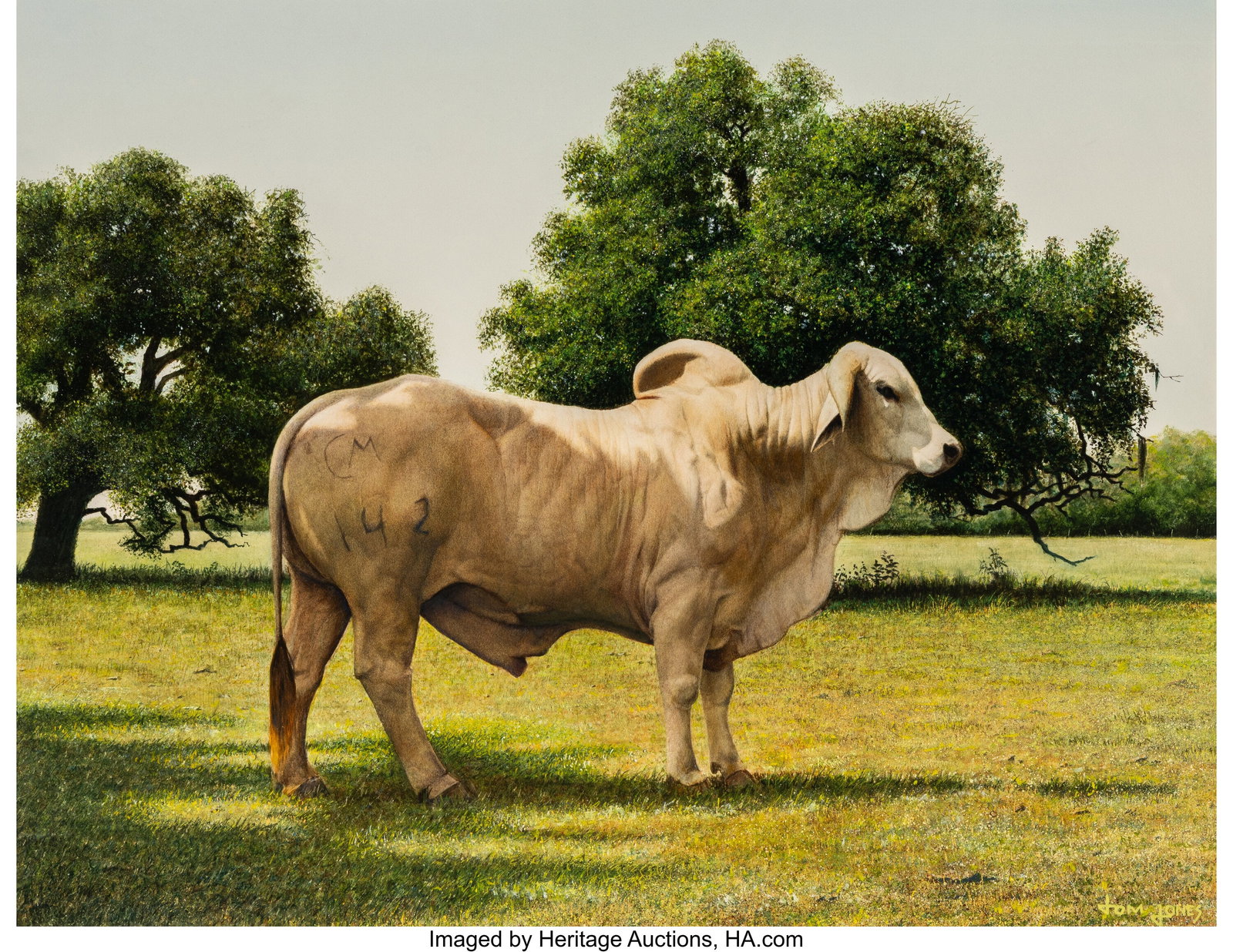 Tom Jones (American, b. 1949) Bull, 1979 Gouache (1 of 2)